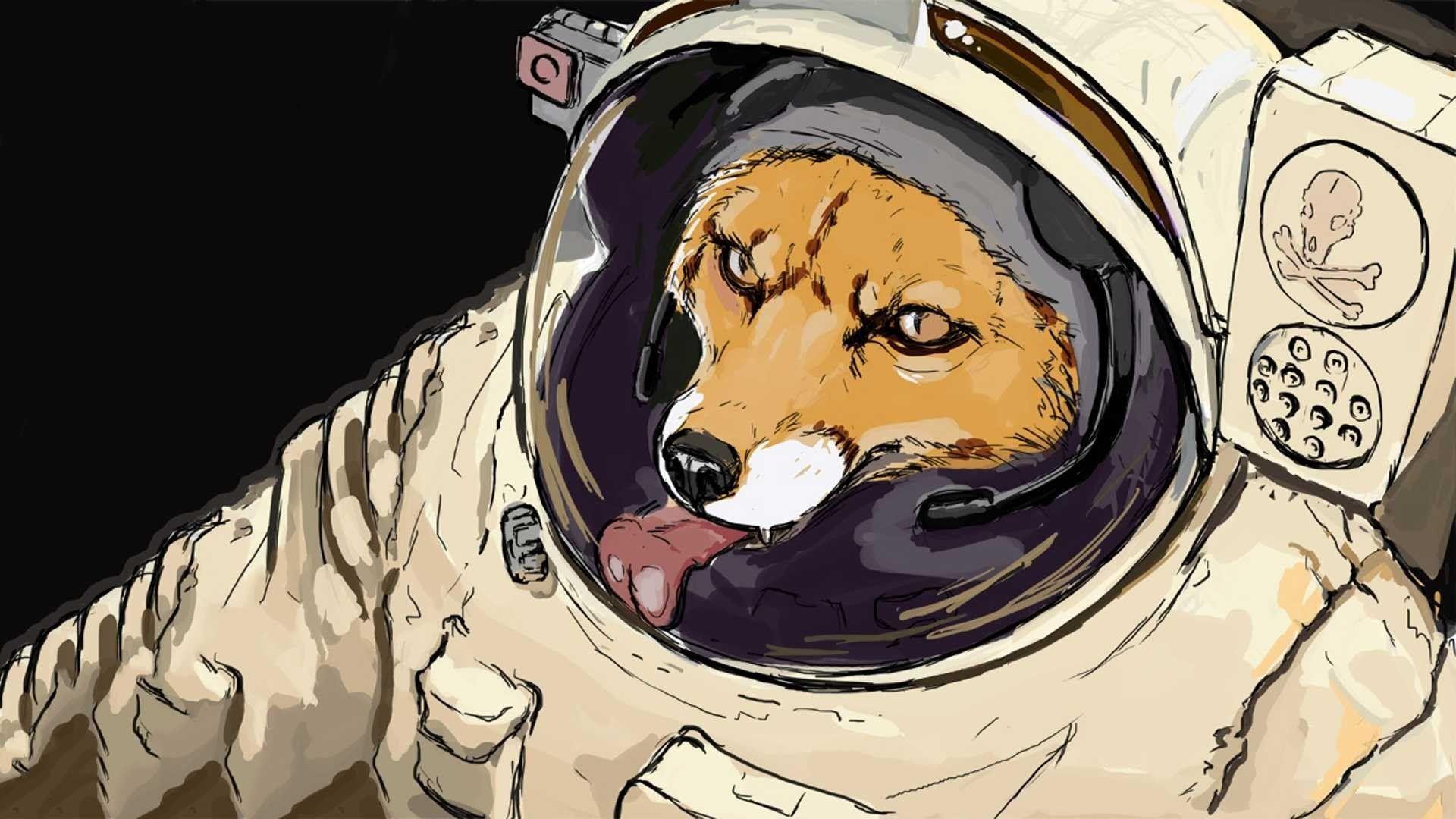1920x1080 starfox, Space, Fox HD Wallpaper / Desktop and Mobile Image & Photo