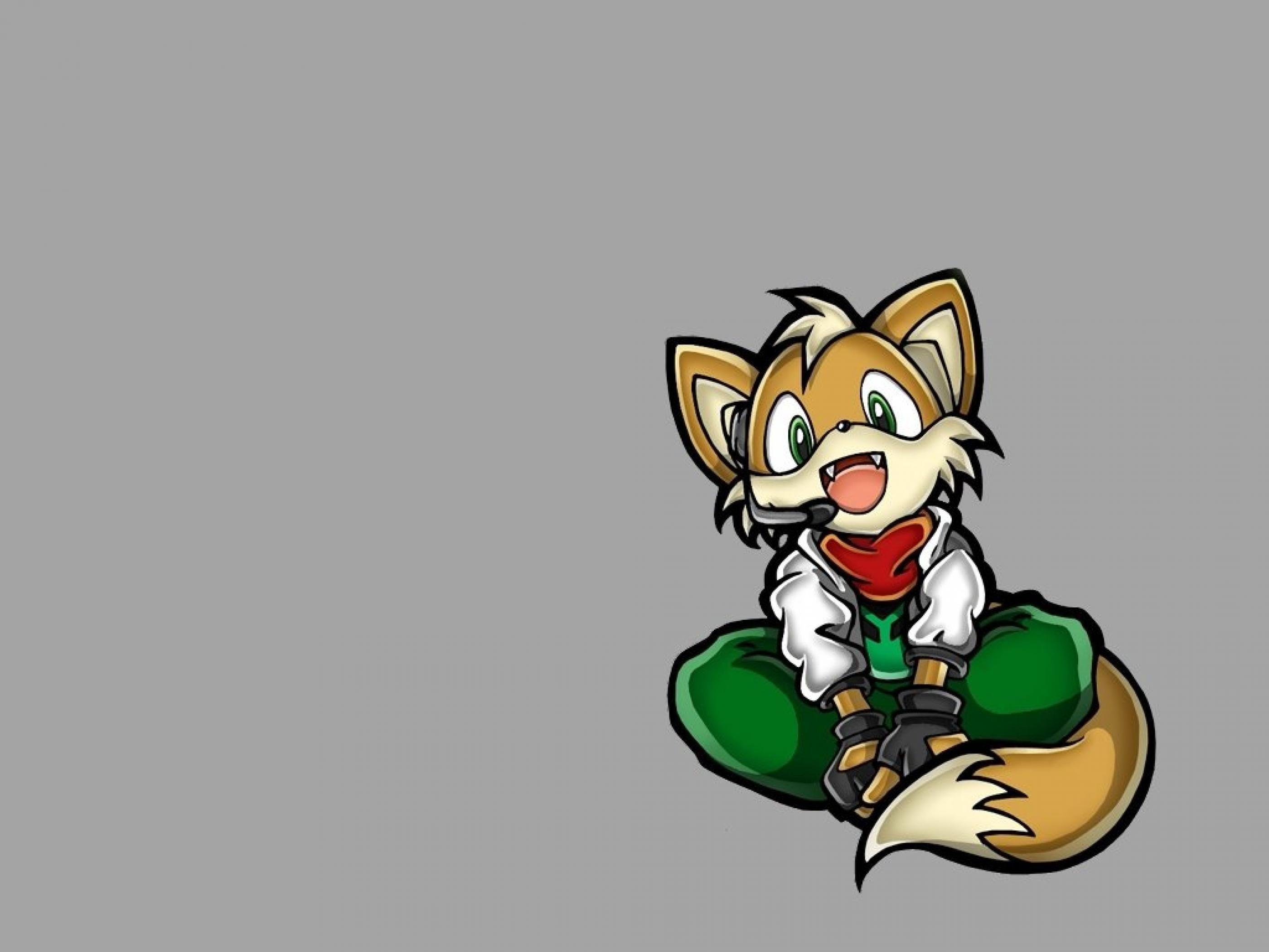 2800x2100 Star Fox Wallpaper