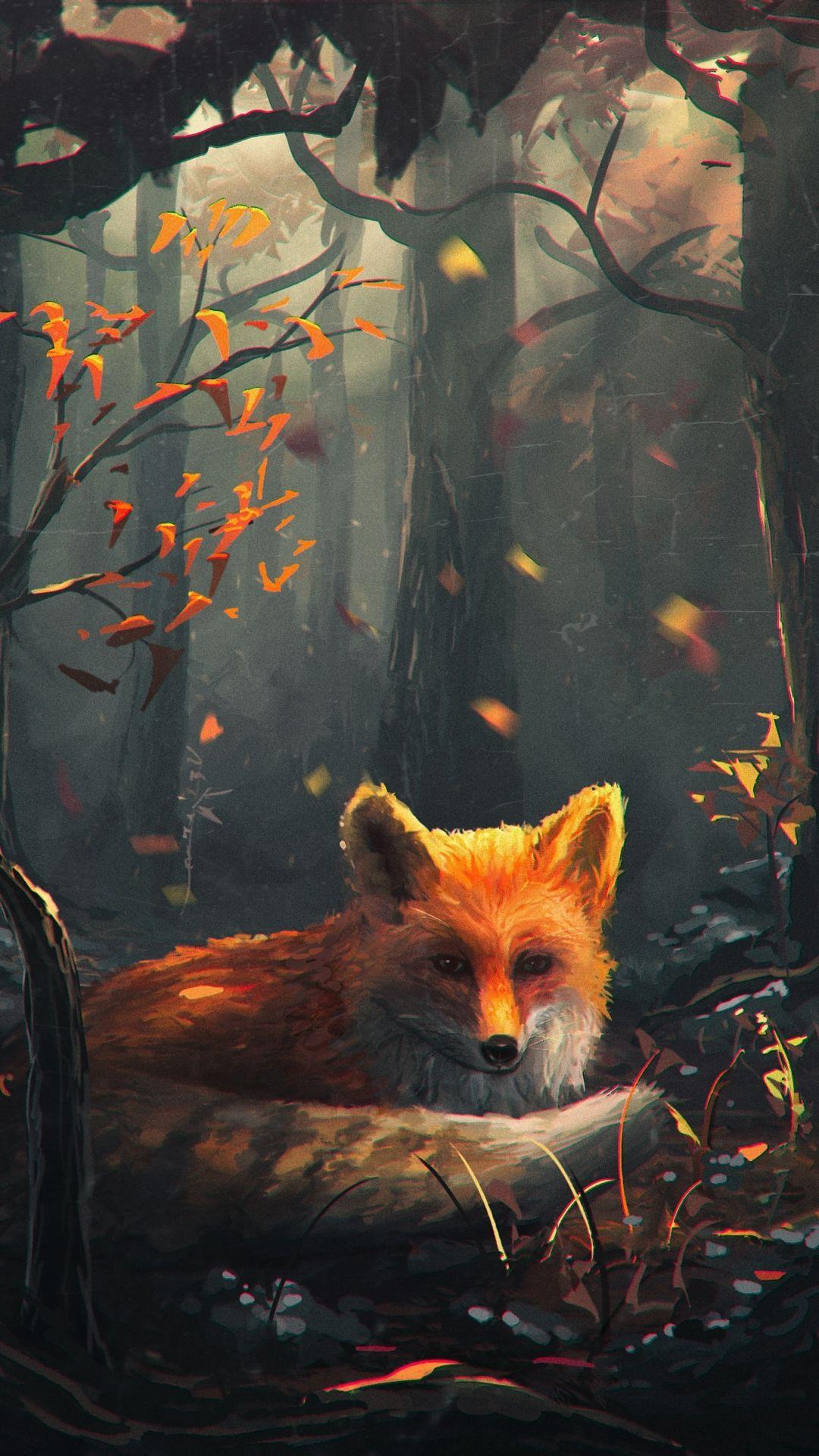 1080x1920 Animal Fox (1080x1920) Wallpaper