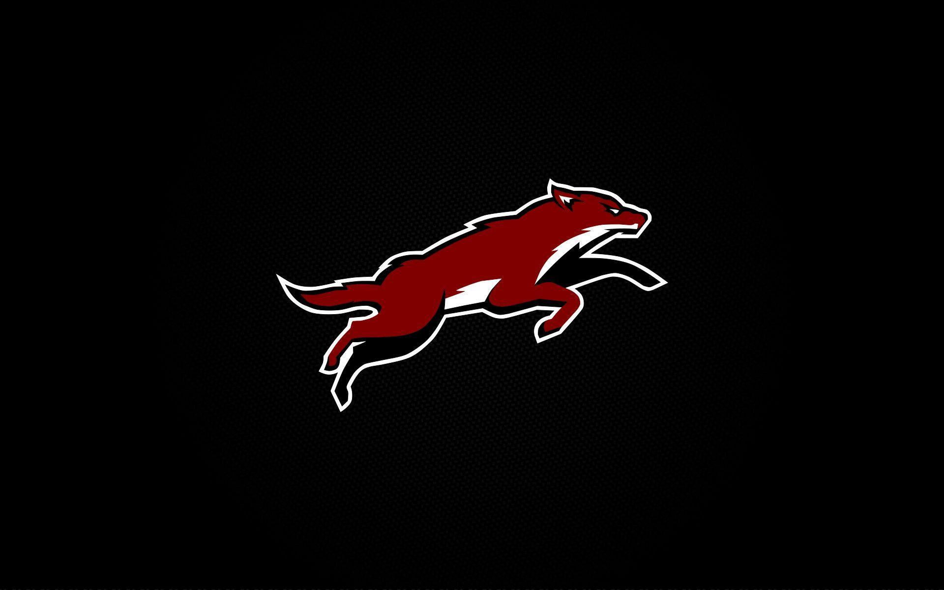 1920x1200 Arizona Coyotes Wallpaper