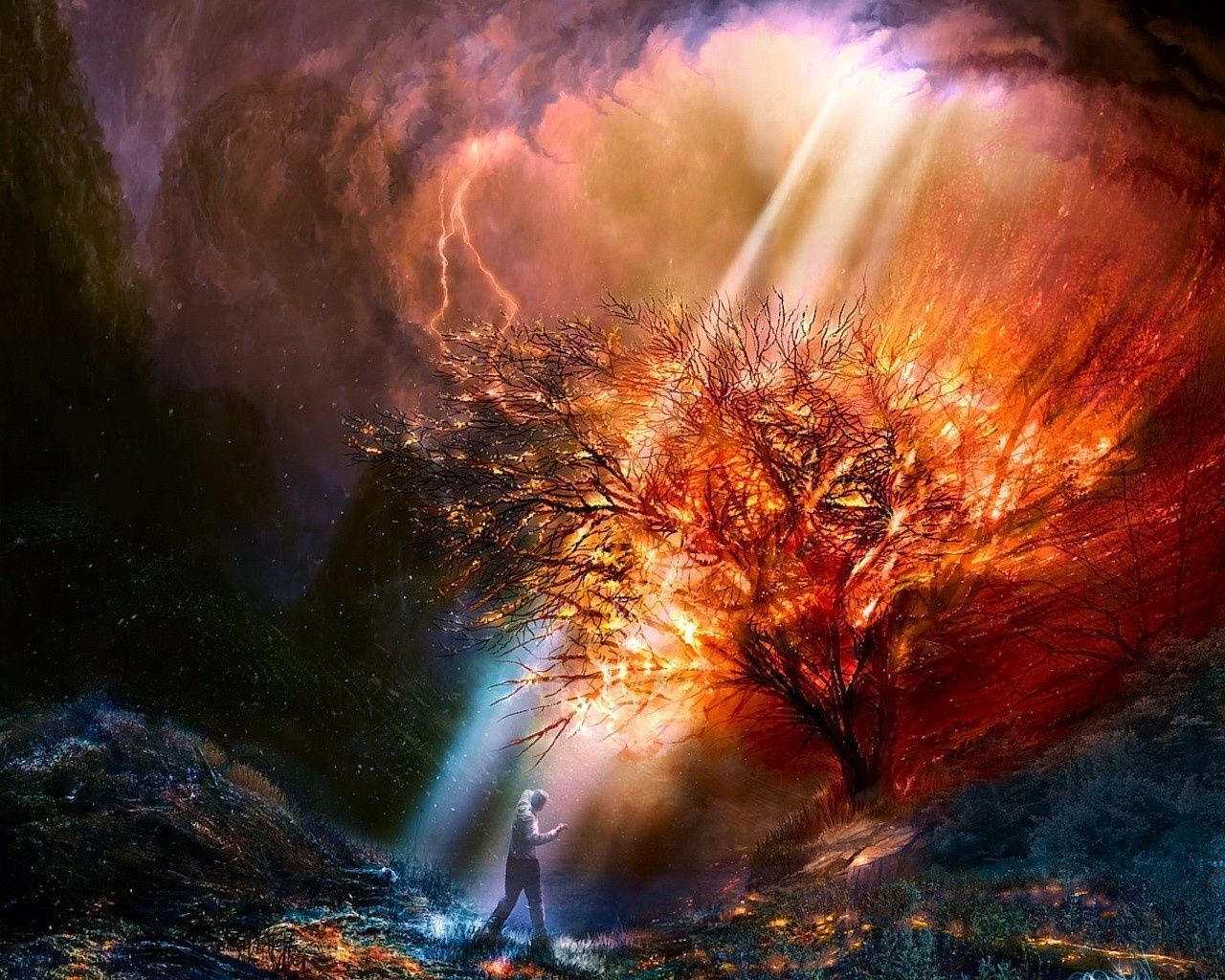 1280x1024 burning bush, art