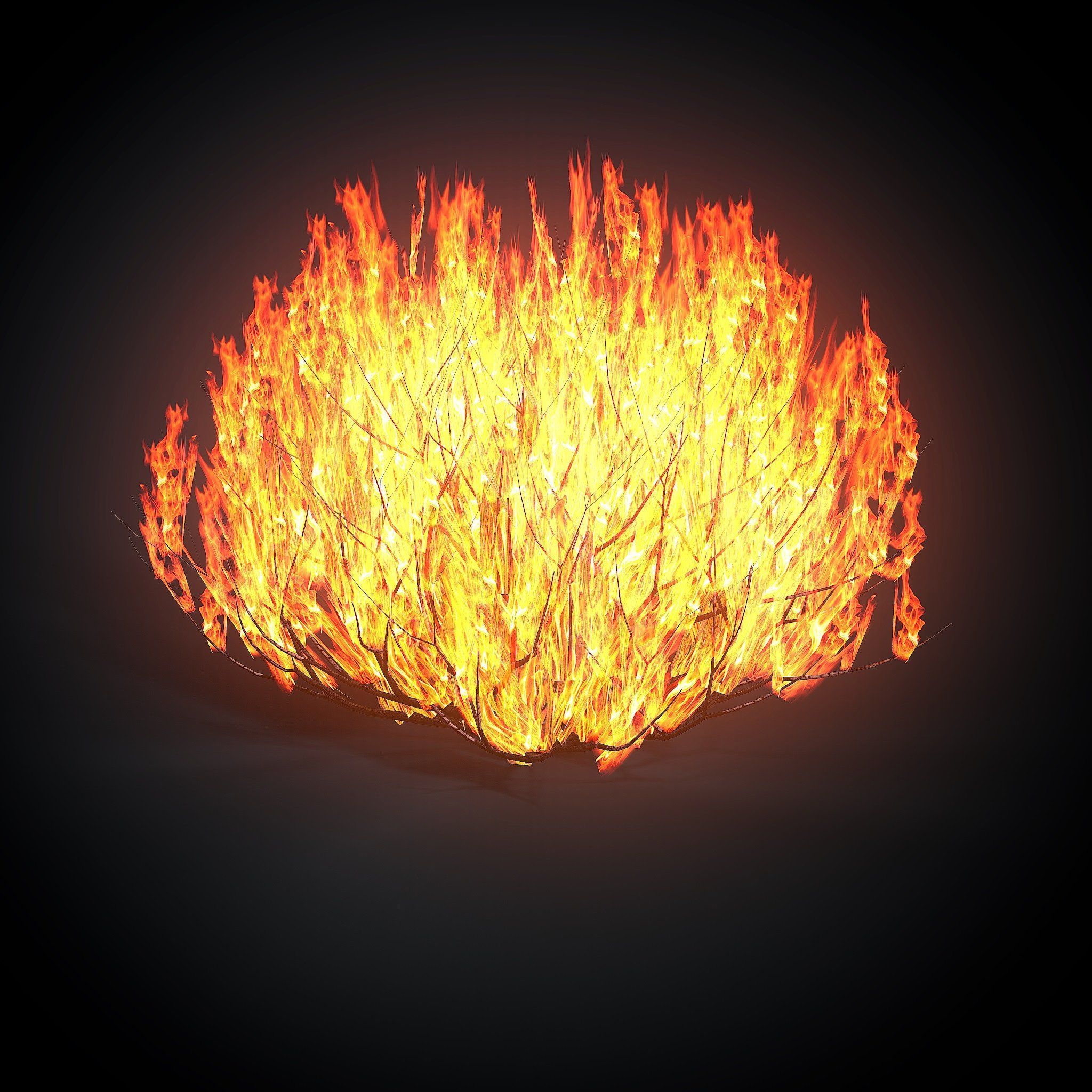 2048x2048 Burning bush