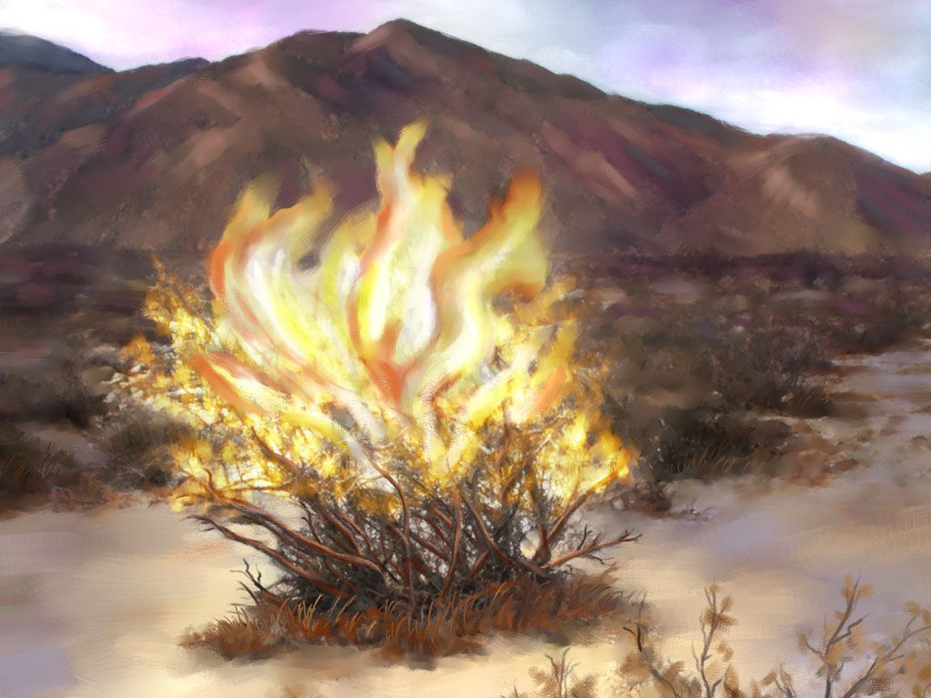 1024x768 Burning Bush