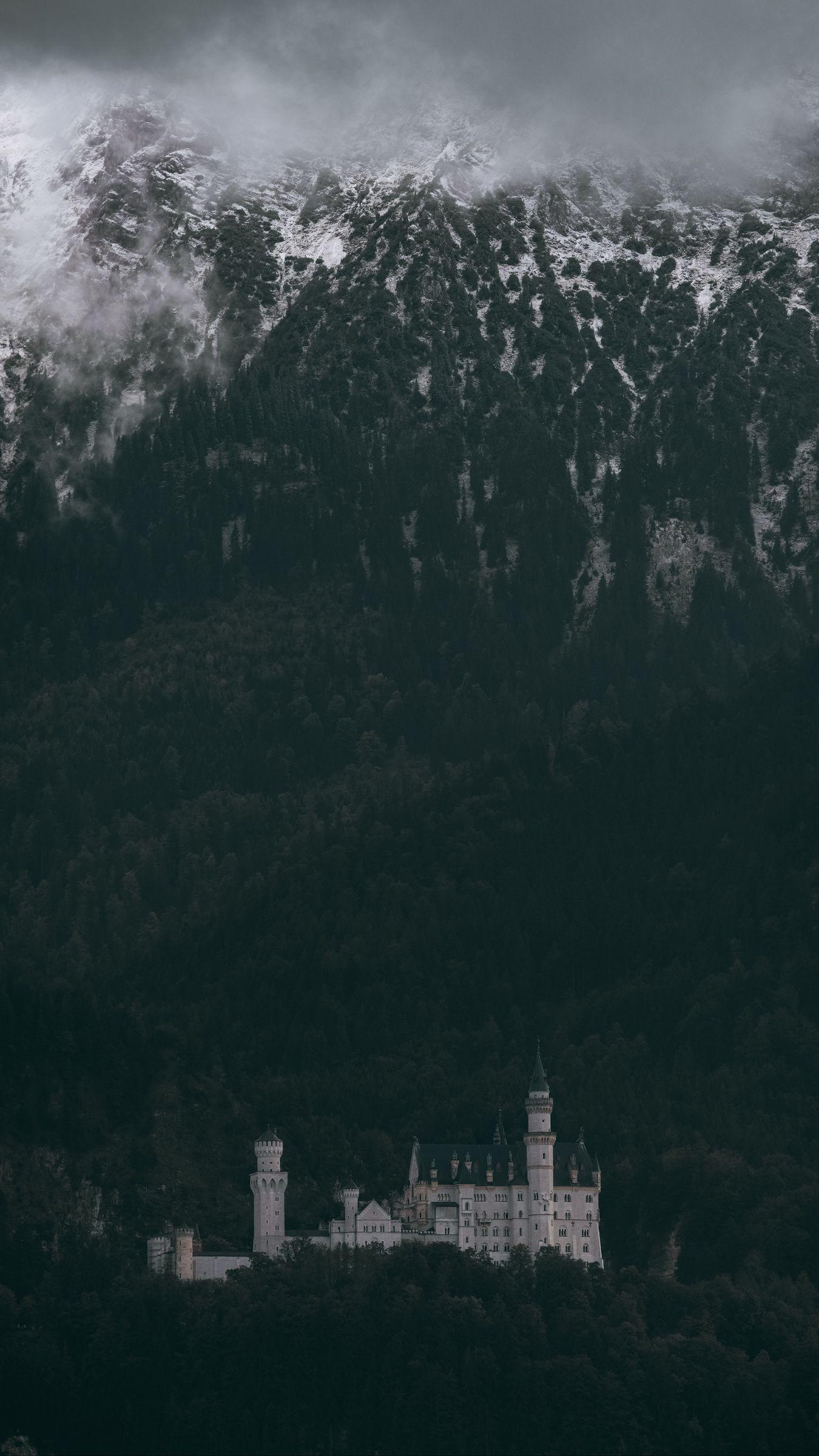 1350x2400 Download wallpaper 1350x2400 castle, trees, neuschwanstein