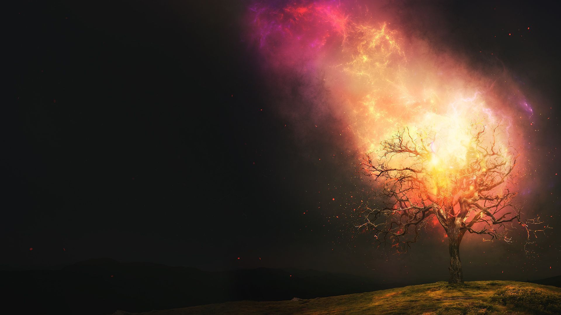 1920x1080 Why Is God's Name Important?