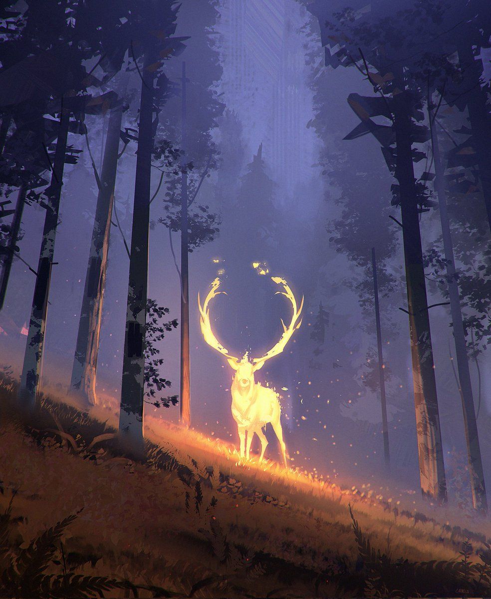 984x1200 jocelin carmes on X: Yes, this deer