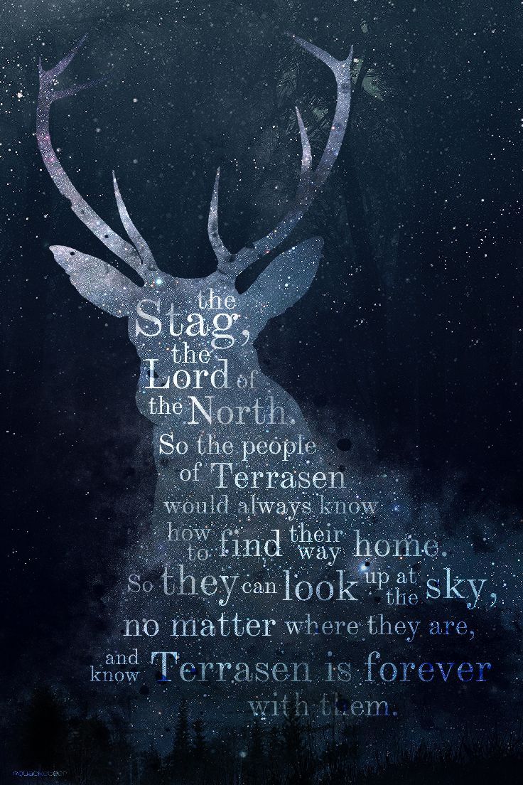 736x1104 Create your Throne of Glass Family