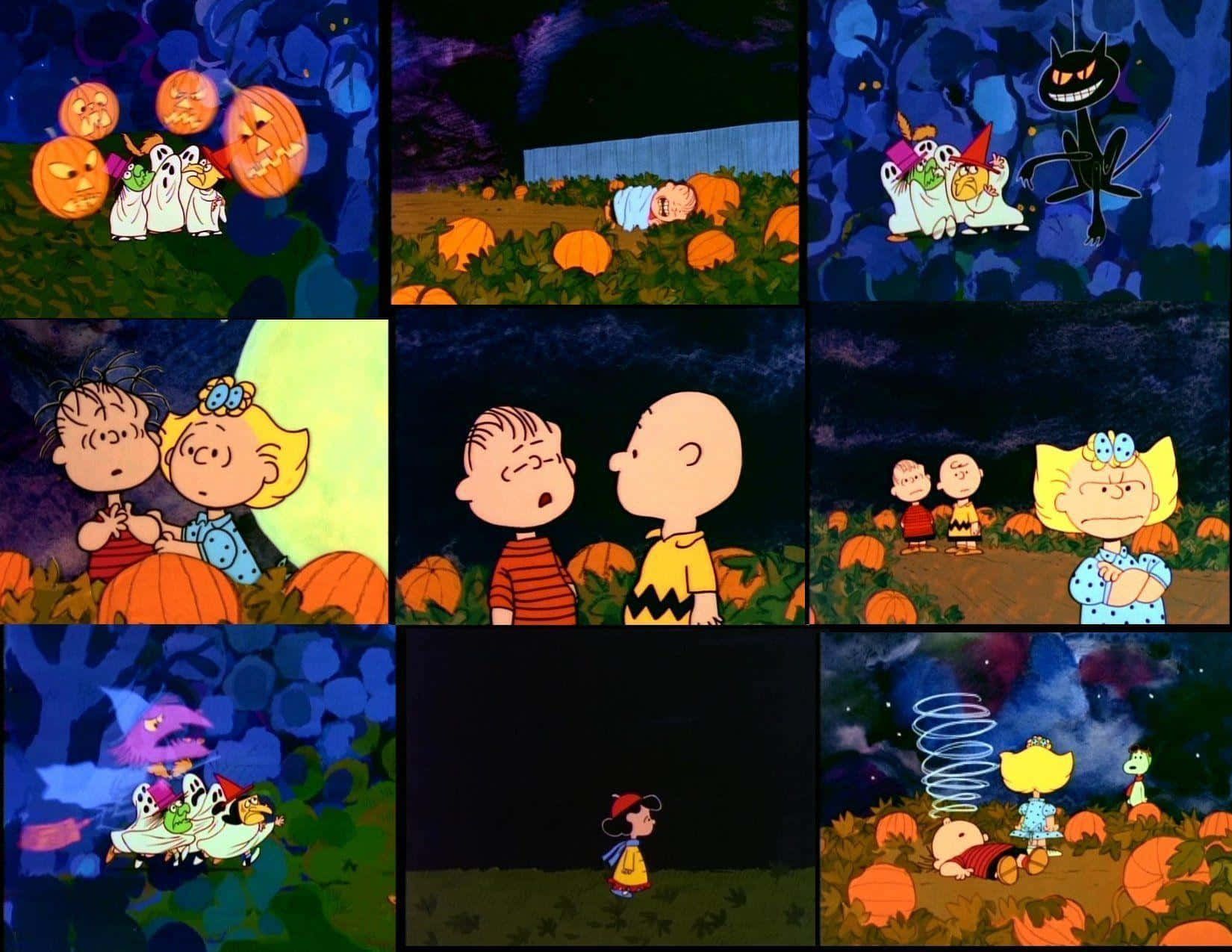 1650x1275 magical pumpkin patch Wallpaper
