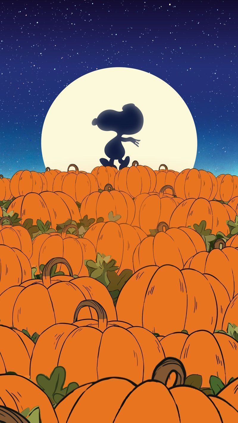 800x1420 Pumpkin, Charlie Brown TV+