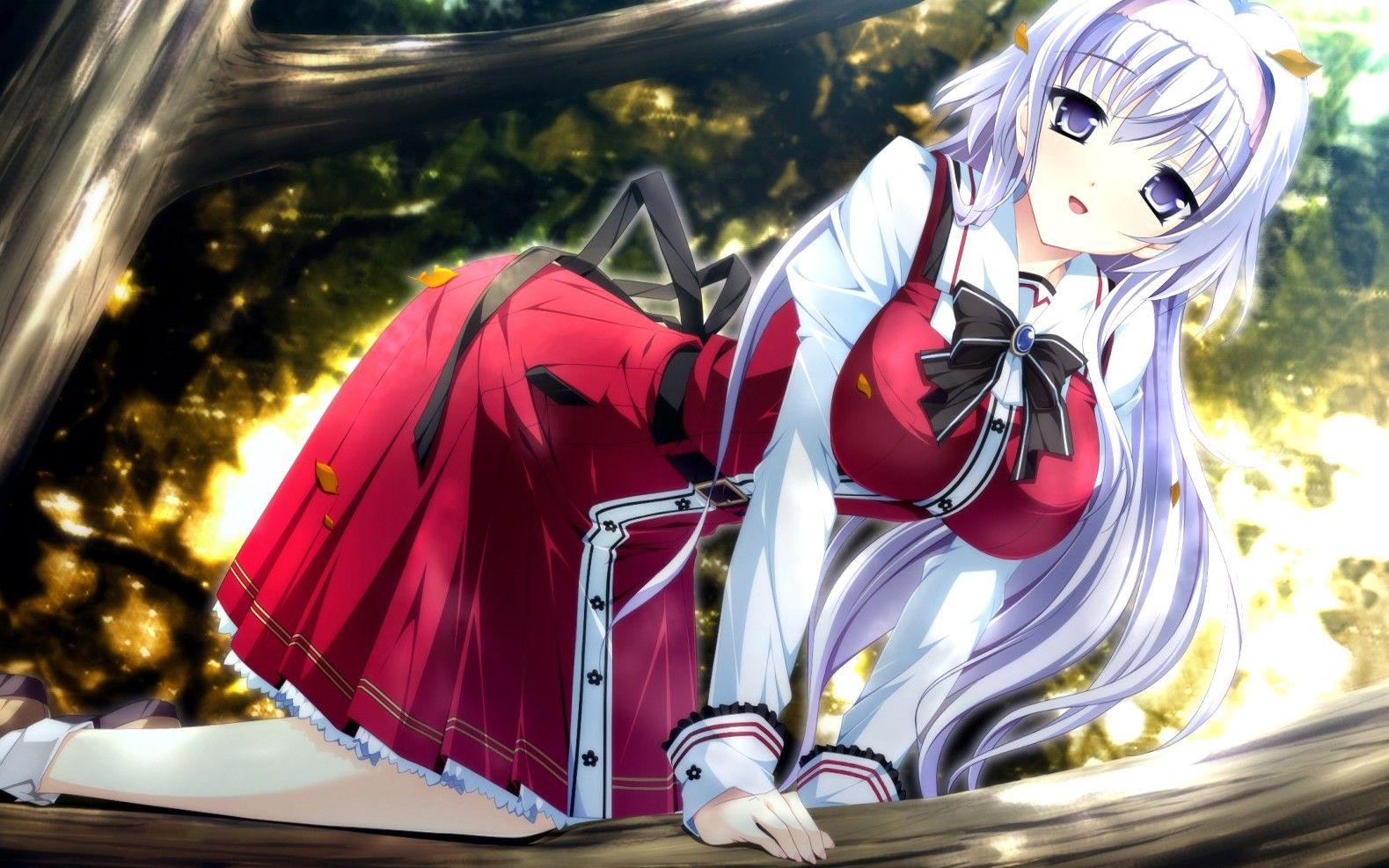 1579x987 Cute, Girl, Up, In, A, Tree, Anime Image, HD Anime Wallpaper