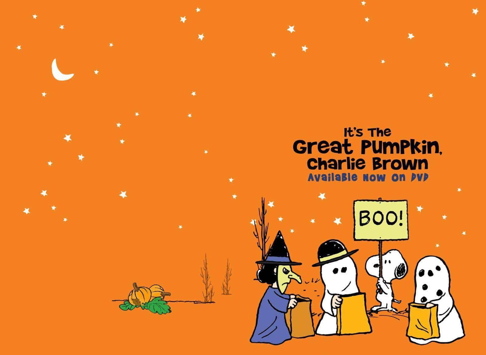 1600x1168 moonlit pumpkin patch Wallpaper