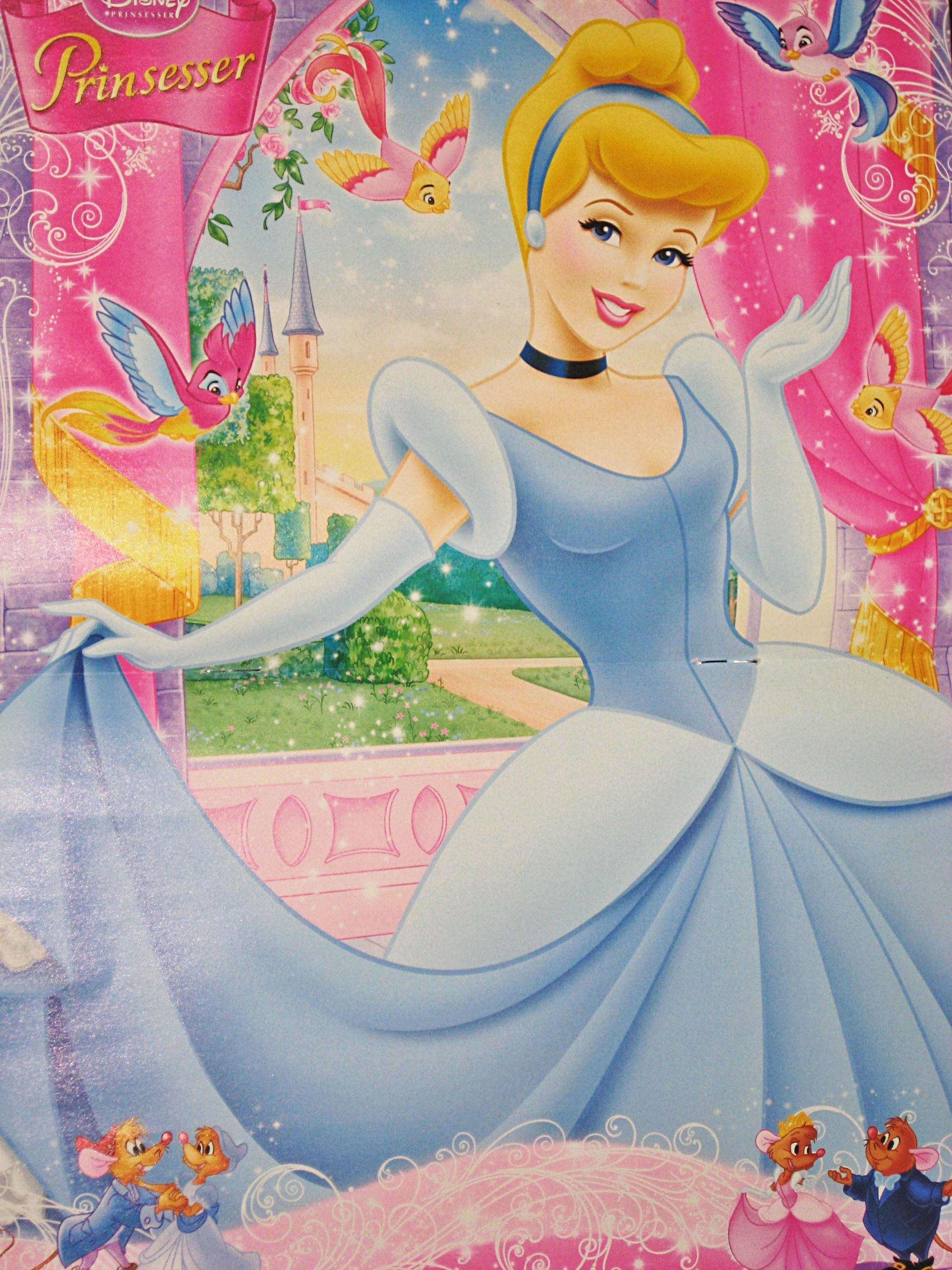 1920x2560 Disney Princess Cinderella Walt Disney Characters Cartoon