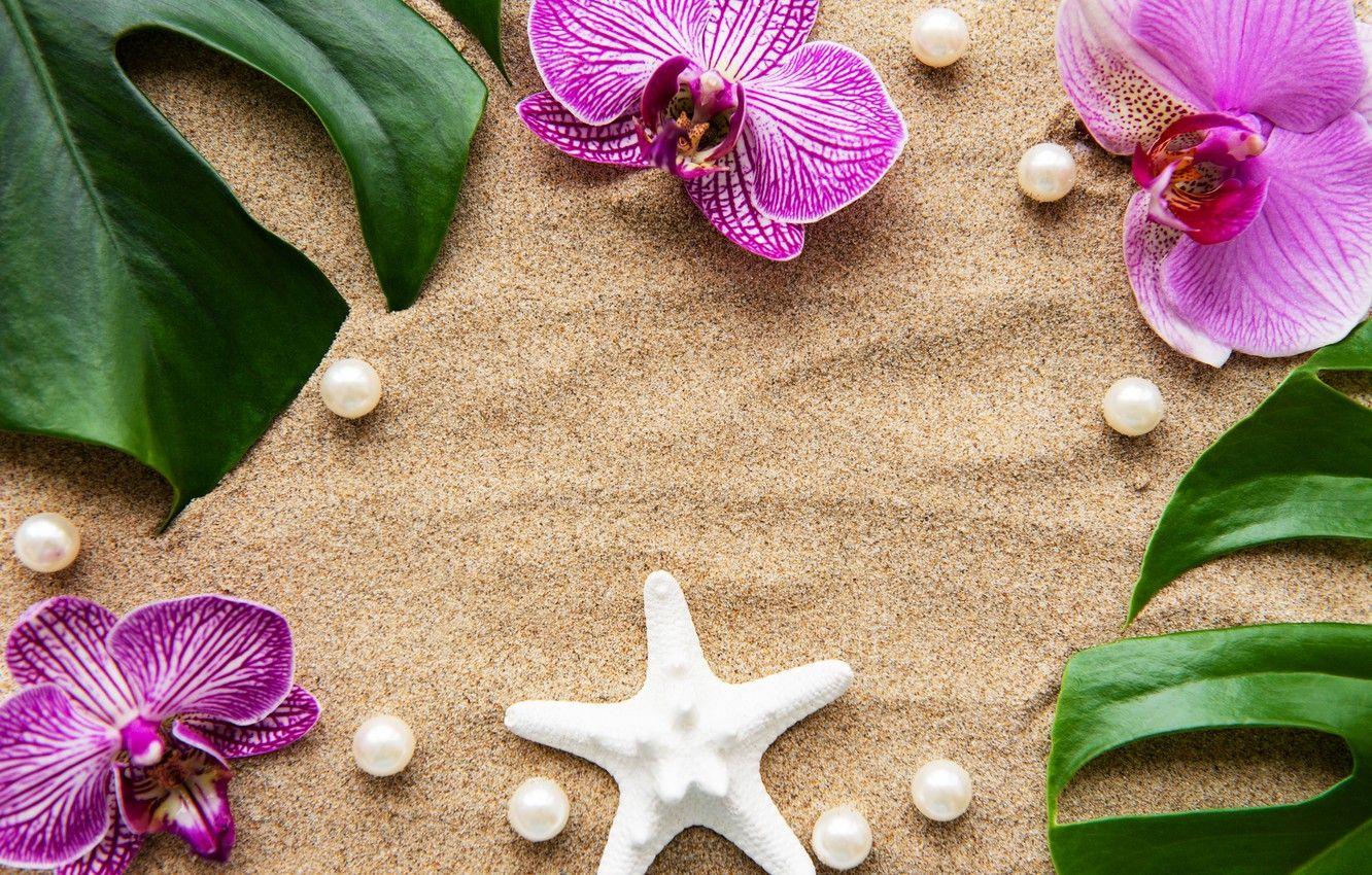 1332x850 Wallpaper sand, leaves, flowers, white, Orchid, pink