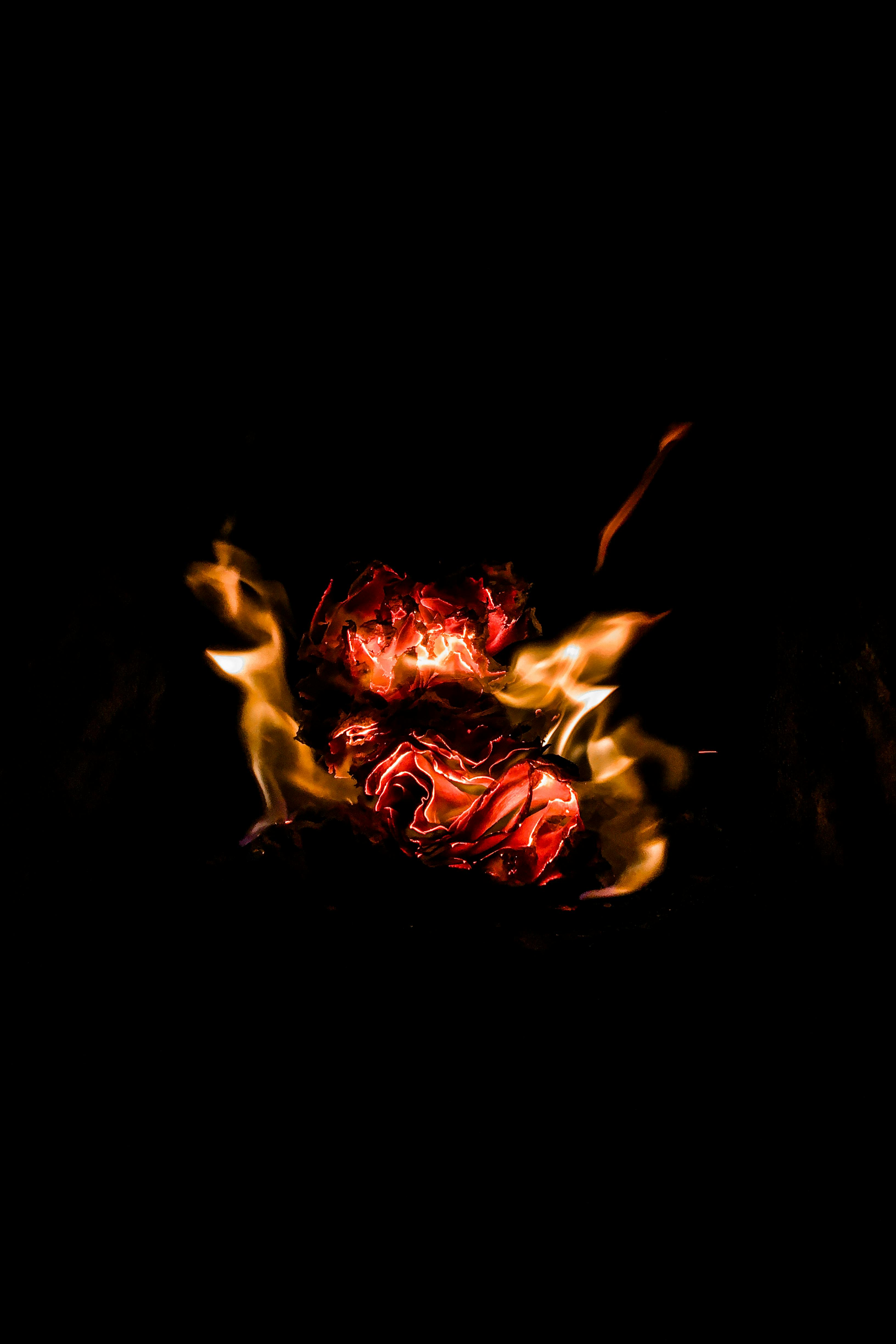 3264x4896 Fire and Charcoal With Black Background
