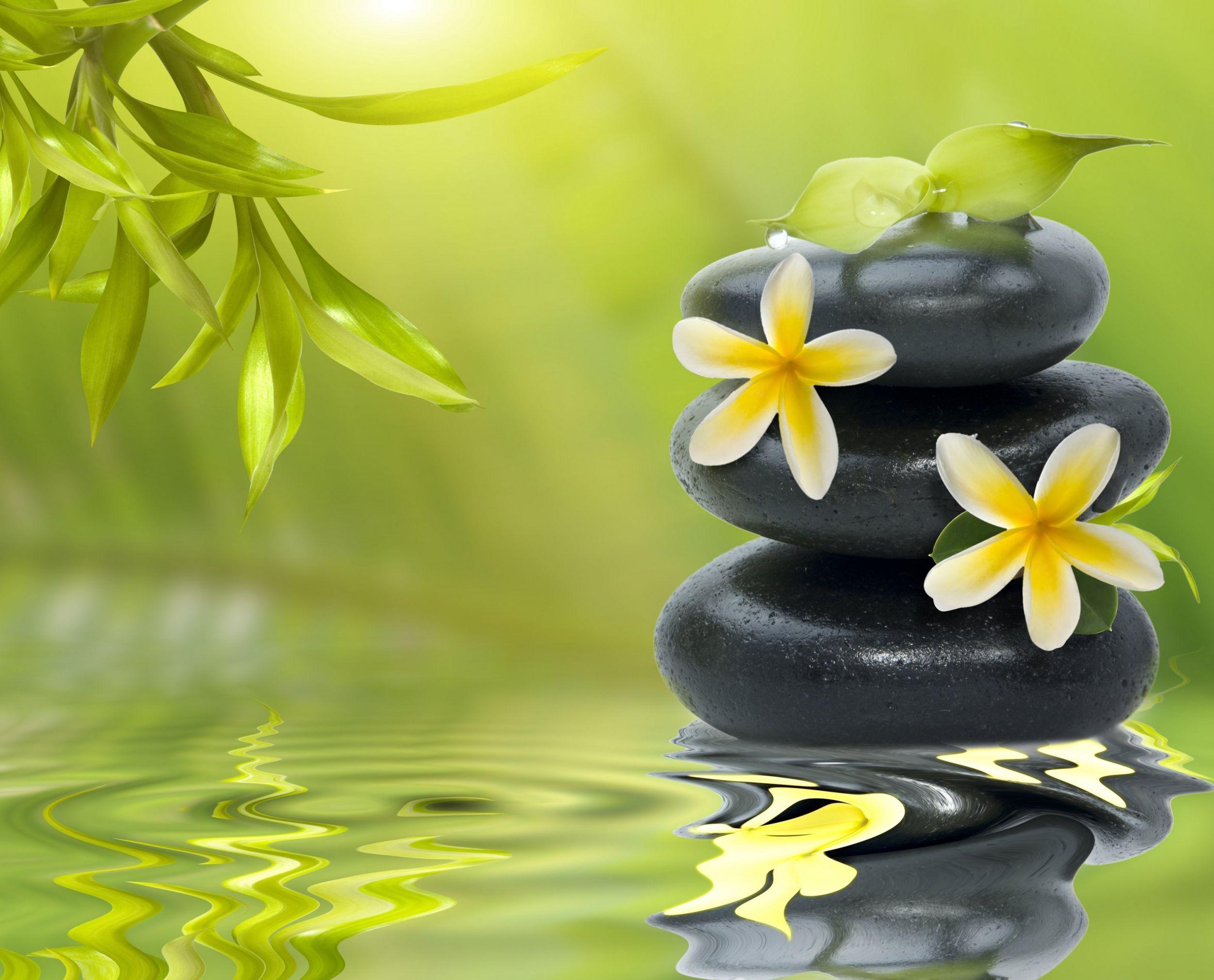 2500x2018 Zen Wallpaper XK92 download free