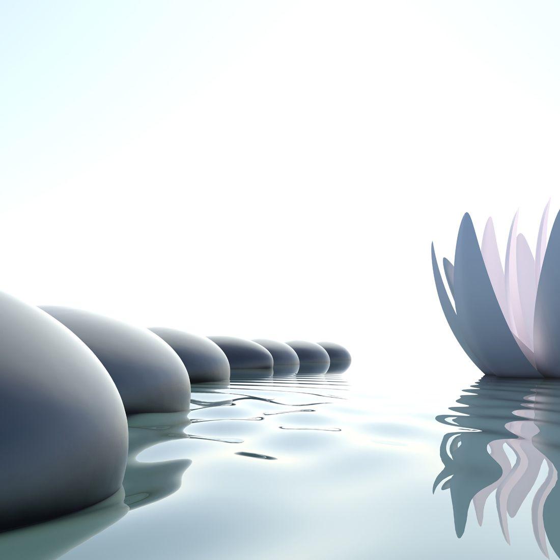 Zen Lotus Flower Wallpapers Top Free Zen Lotus Flower Backgrounds