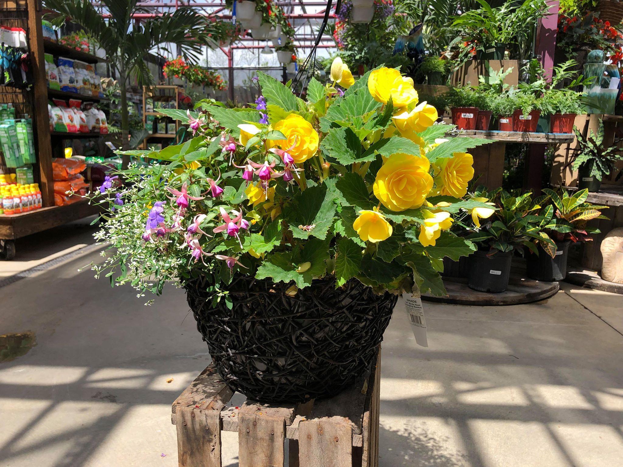 2048x1536 Mother's Day Gift Ideas