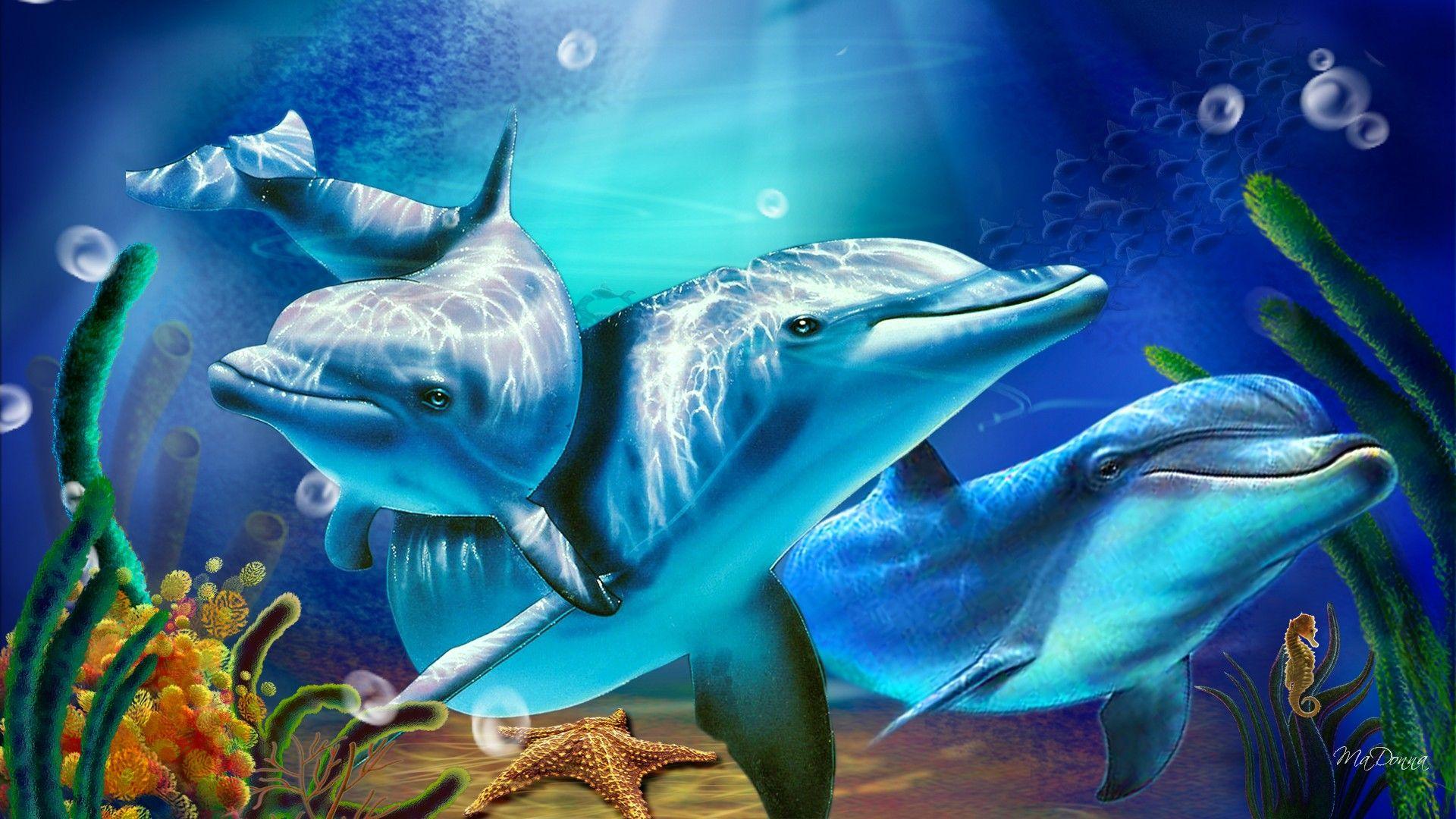 3D Dolphin Wallpapers - Top Free 3D Dolphin Backgrounds - WallpaperAccess