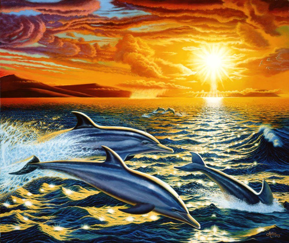 3D Dolphin Wallpaper Free Download / Best Value 3d Dolphin Wallpaper