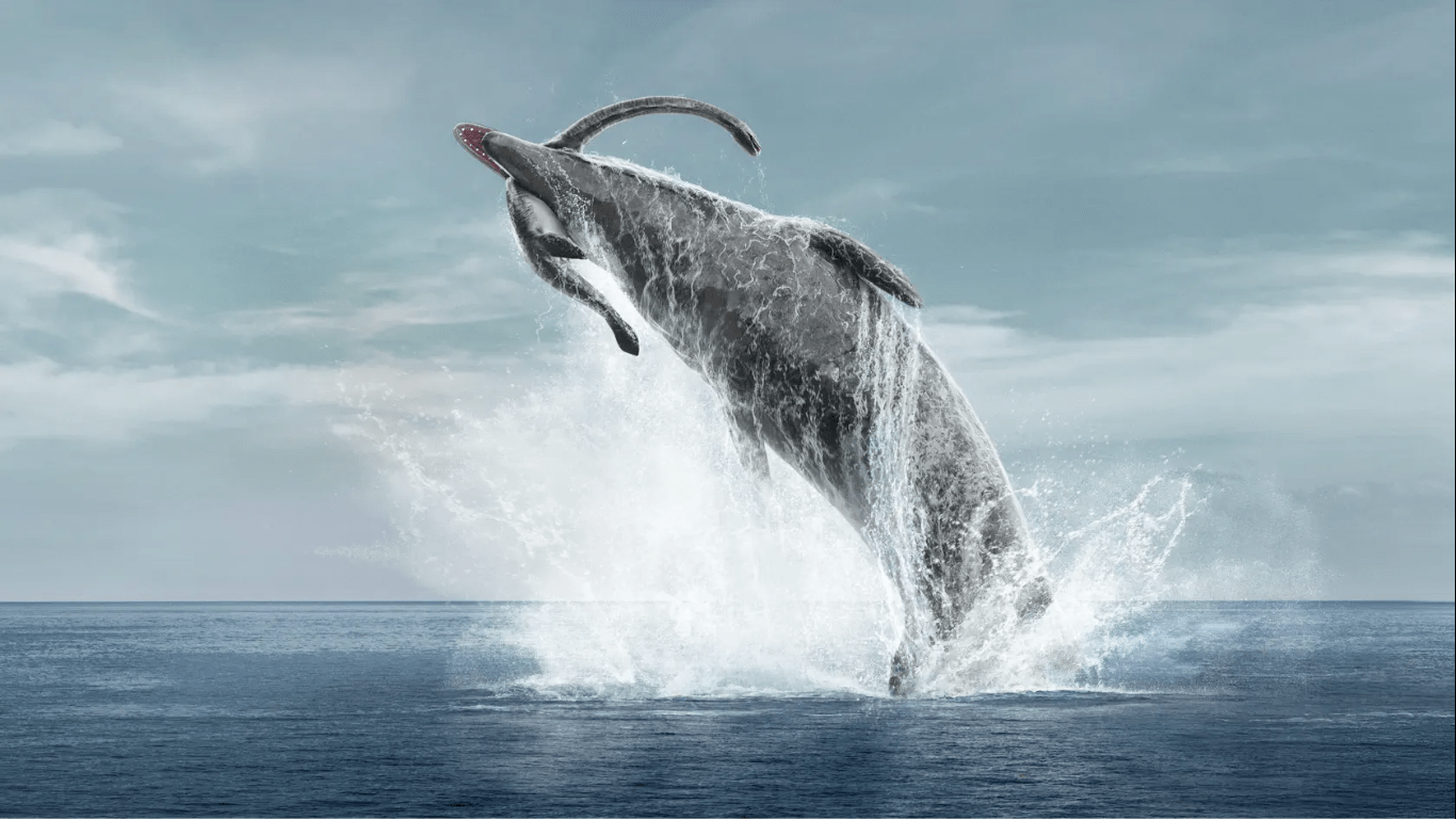 1366x768 Oceans