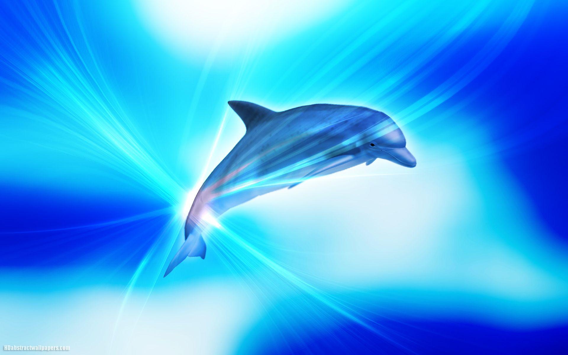 Wild Dolphins Video Wallpaper - Apps on Google Play