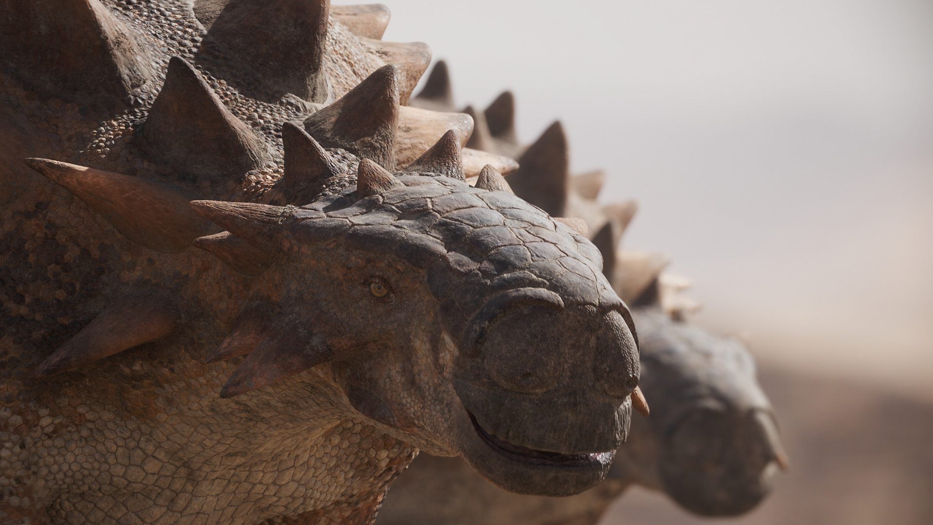 1920x1080 BBC Studios Natural History Unit