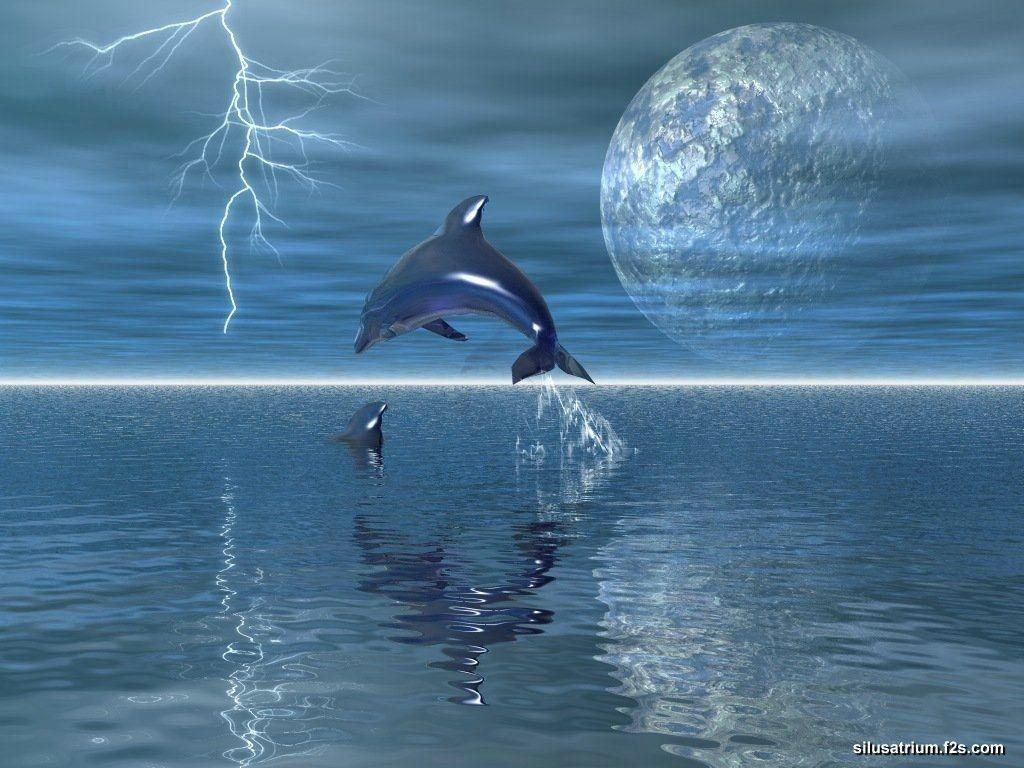 1024x768 Free 3D Dolphin Wallpaper