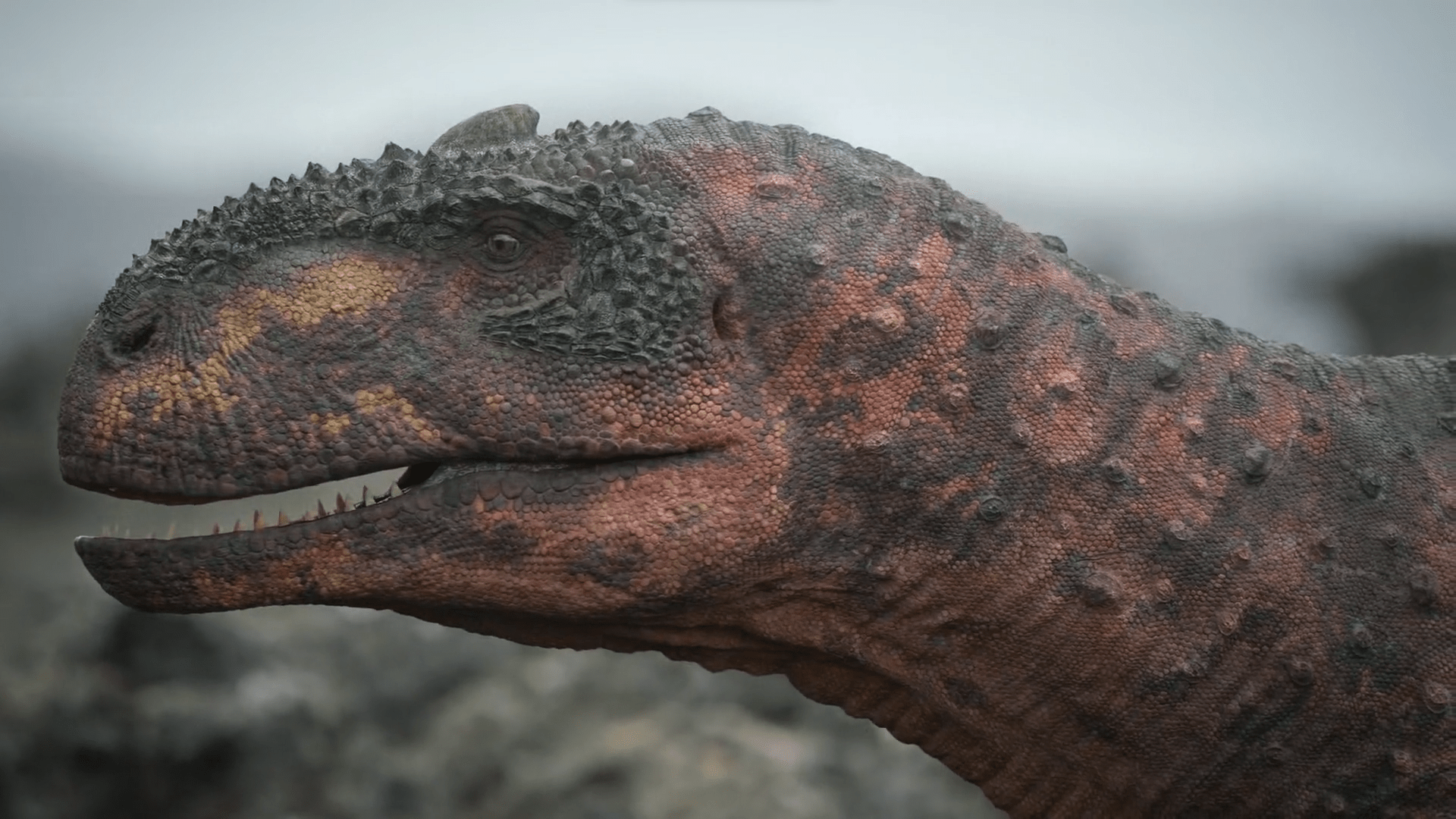 1920x1080 Rajasaurus