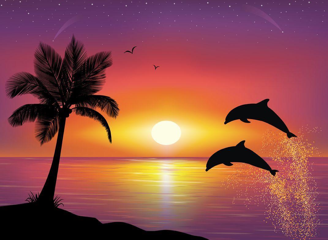 Dolphins at Sunset playing sun painting colors sky artwork sea HD  wallpaper  Peakpx