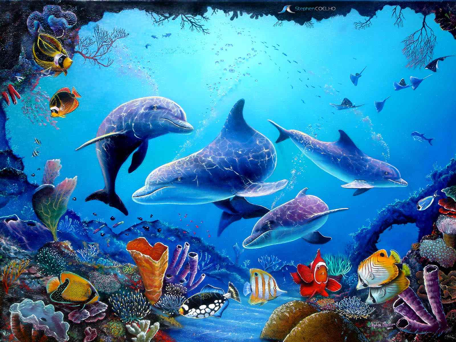 dolphins 3d screensaver and animated wallpaper 1.0.build 3