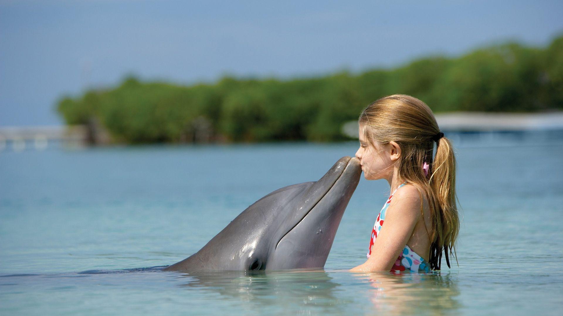 1920x1080 Cute Child with Dolphin Wallpaper
