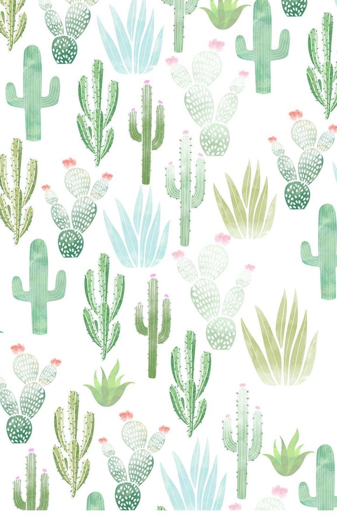 1154x1763 Cute Cactus Wallpaper