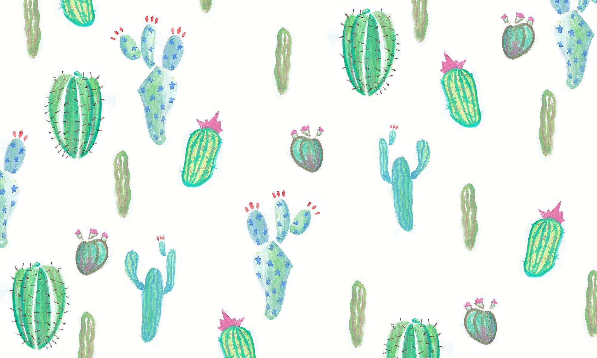 2000x1200 Cactus Wallpaper (30)