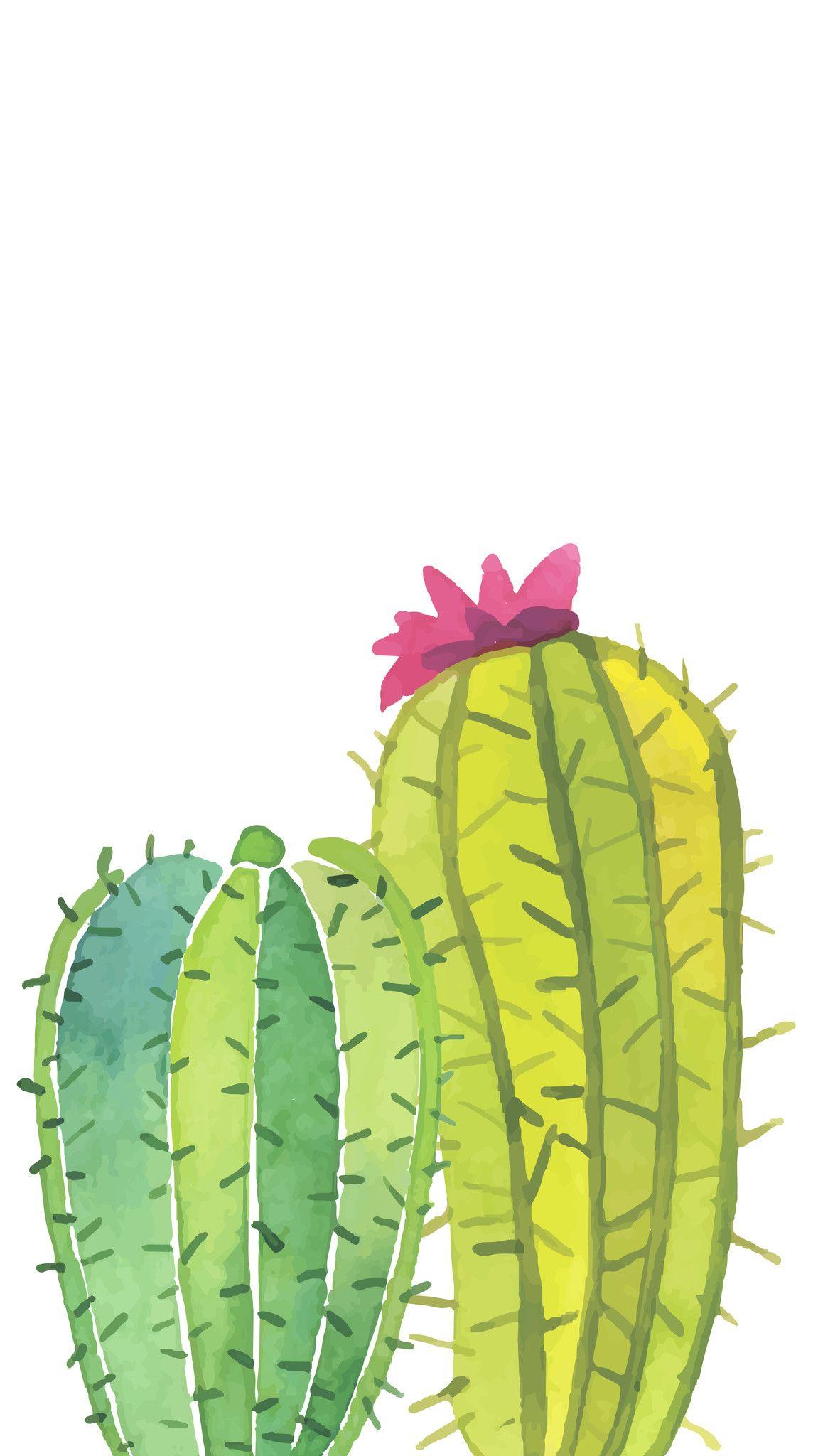 Cactus Cartoon Wallpapers - Top Free Cactus Cartoon Backgrounds