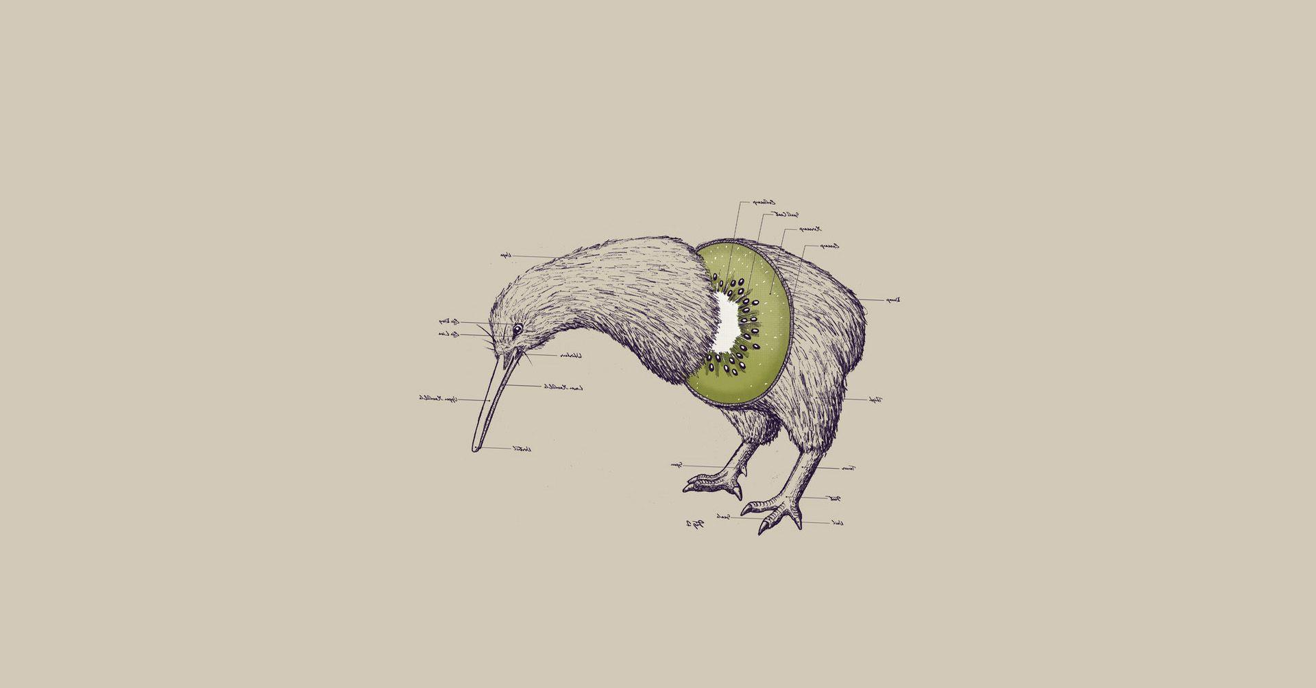 1920x1004 Fruits Humor Funny Kiwi Illustrations Photomanipulations White Background Birds Wallpaper HD / Desktop and Mobile Background