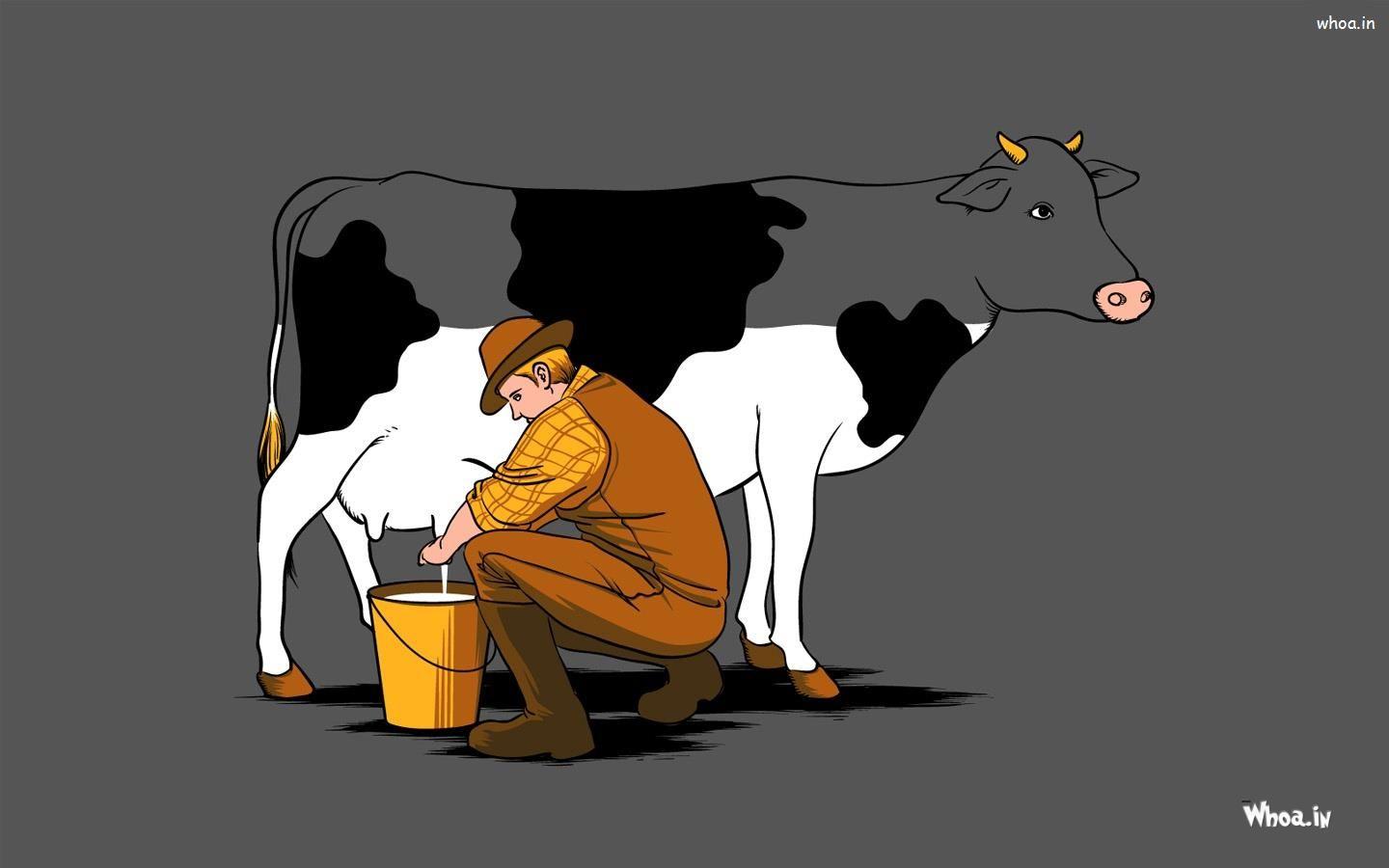 1440x900 Man Snatching Cow Milk HD Cartoon Fun Wallpaper
