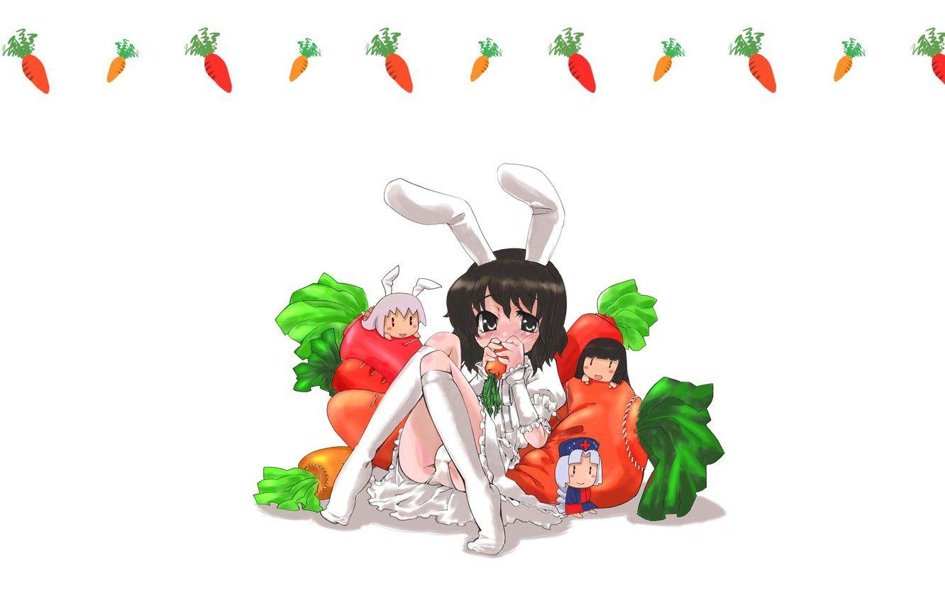1332x850 Wallpaper white background, sitting, ears, art, carrots
