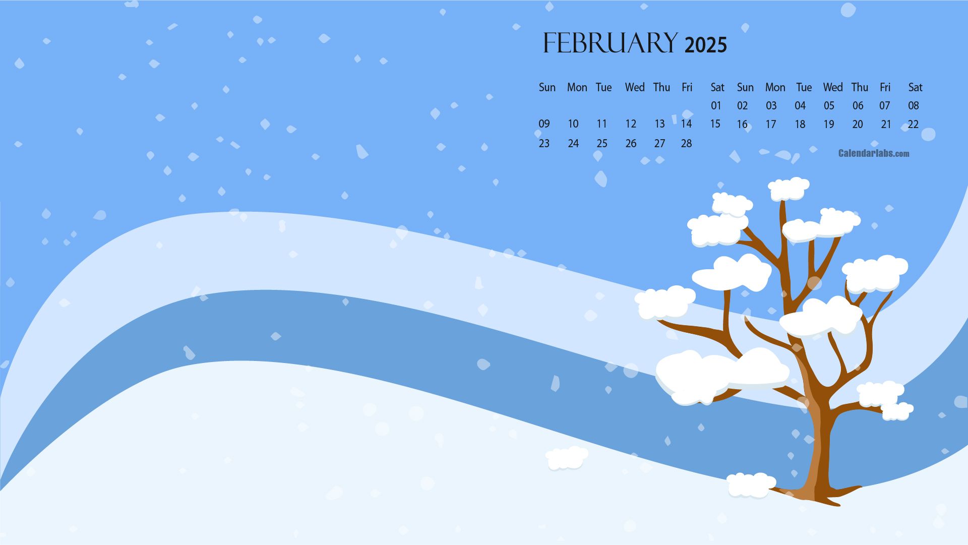 1920x1081 February 2025 Desktop Wallpaper