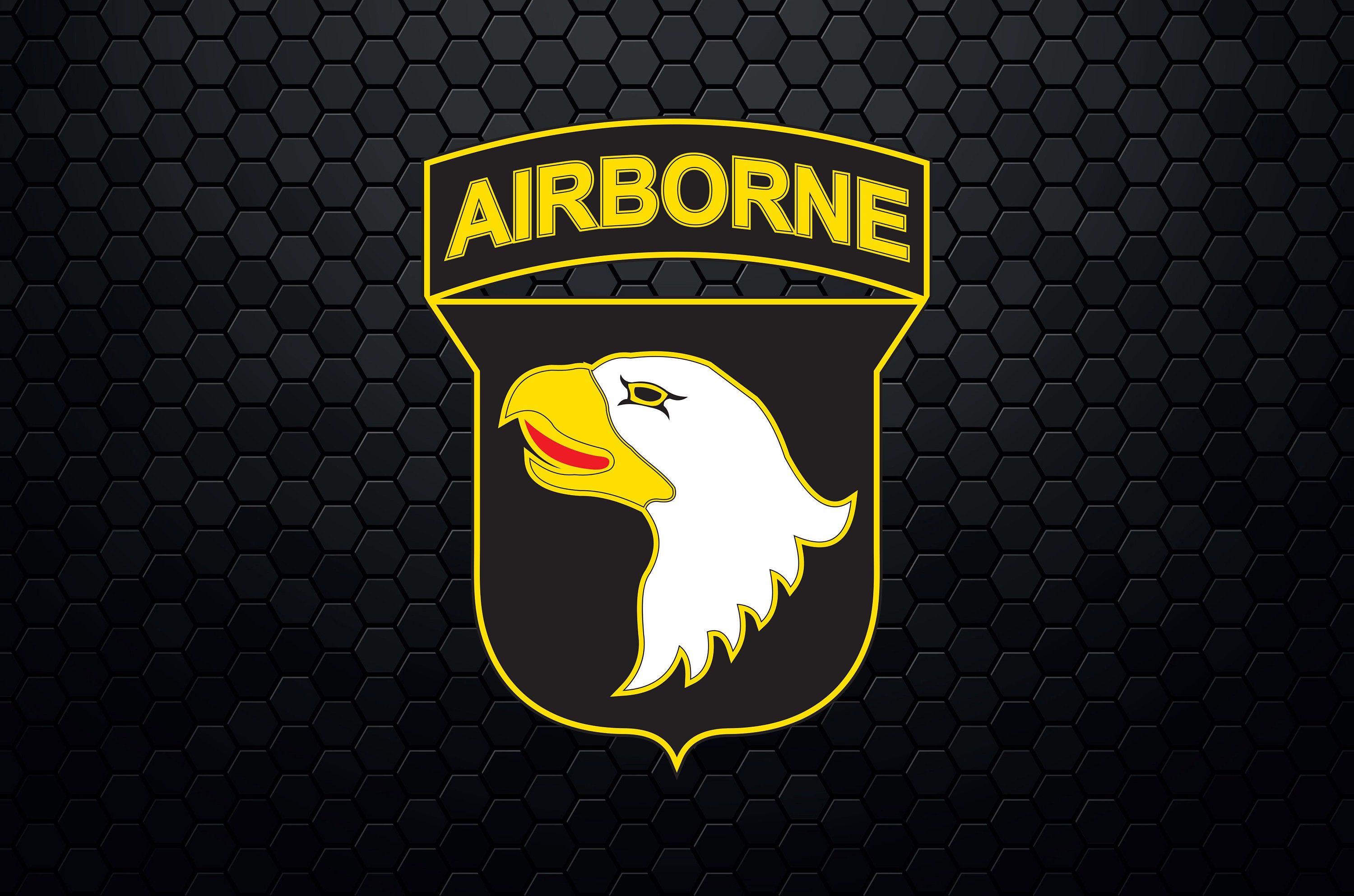 3000x1985 US Army 101st Airborne Division