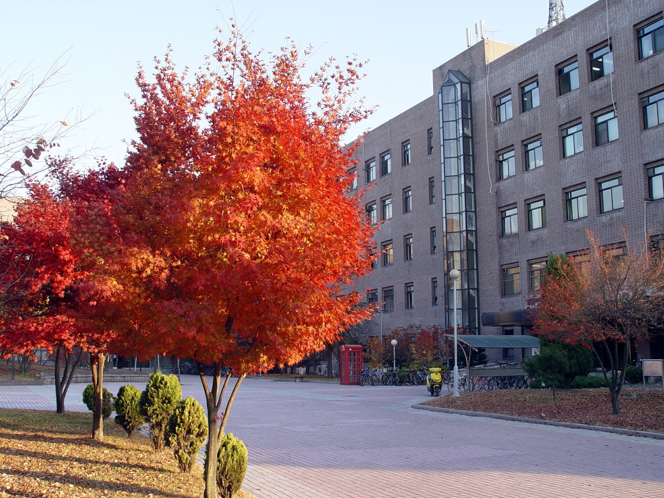 2560x1920 Sungkyunkwan University in Suwon, South
