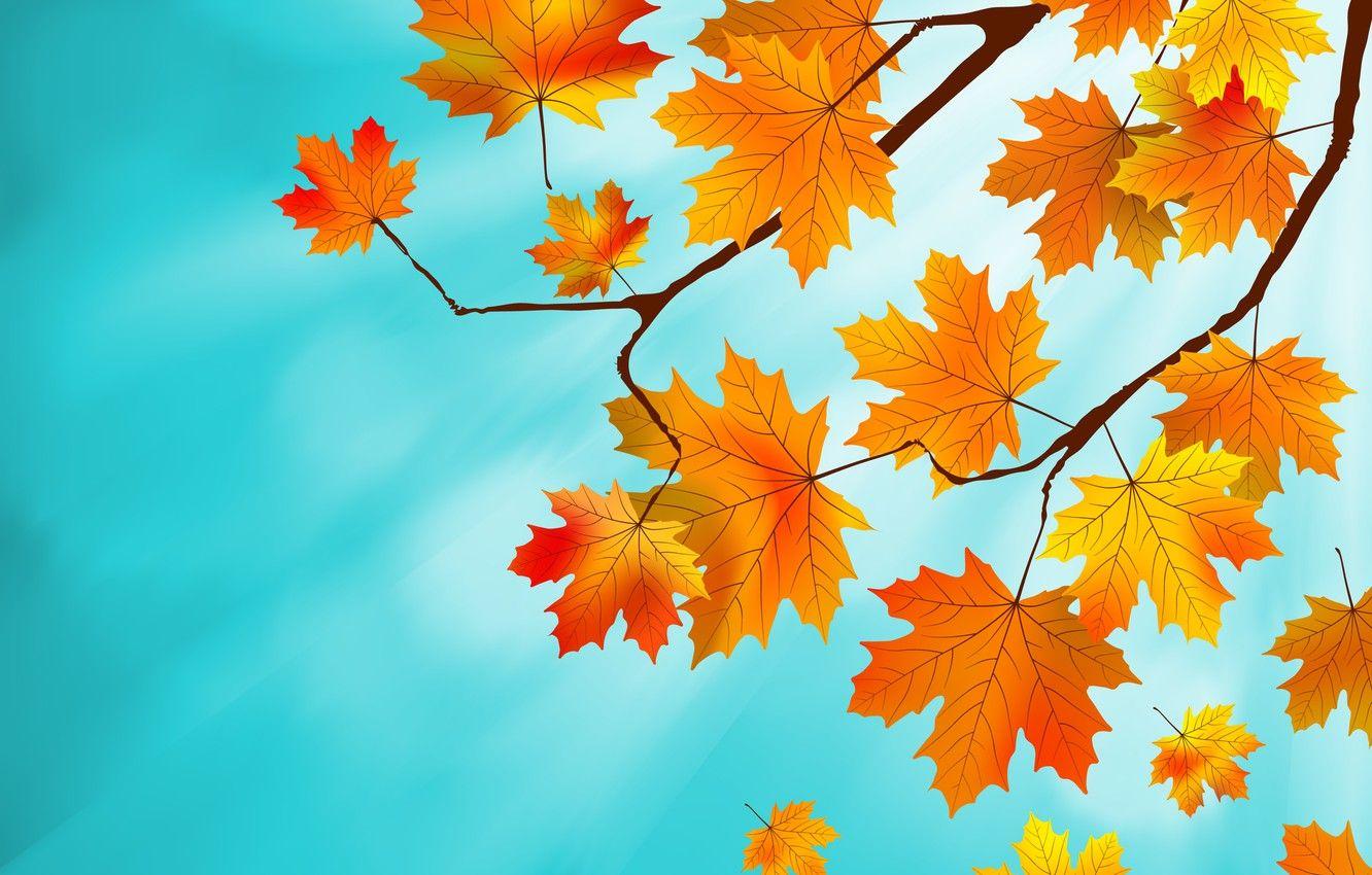 Maple Leaves Wallpapers - Top Free Maple Leaves Backgrounds -  WallpaperAccess