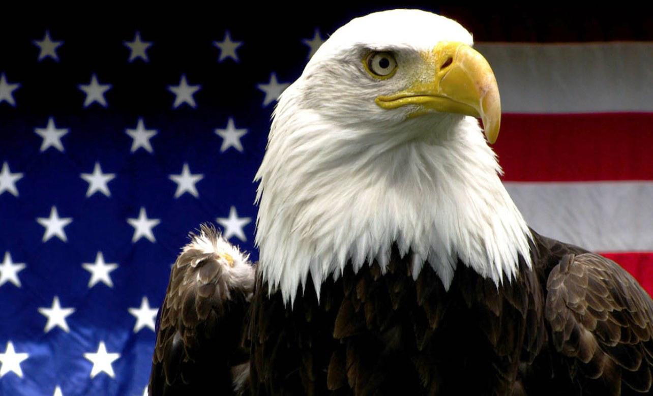 1284x779 American Eagle Quality HD Image