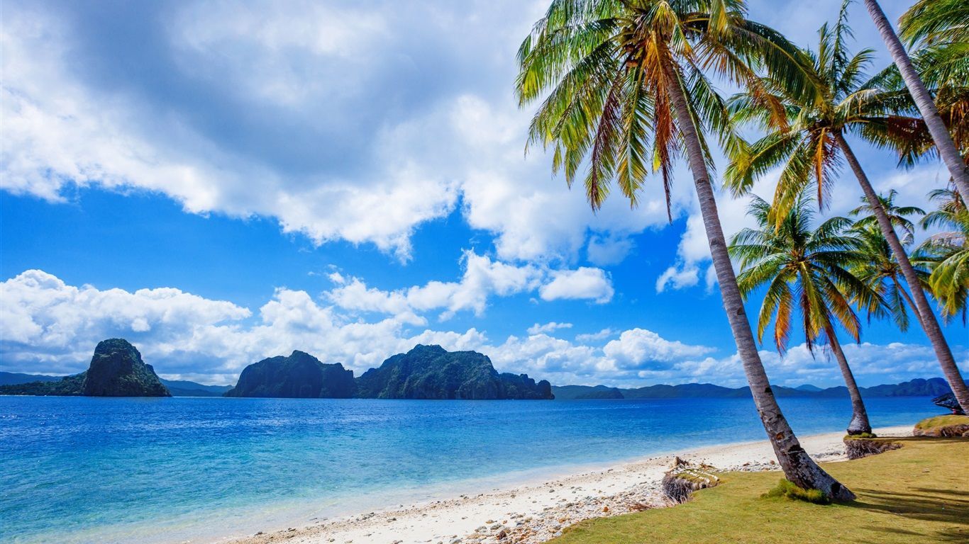 1366x768 Wallpaper Philippines, tropics, palm