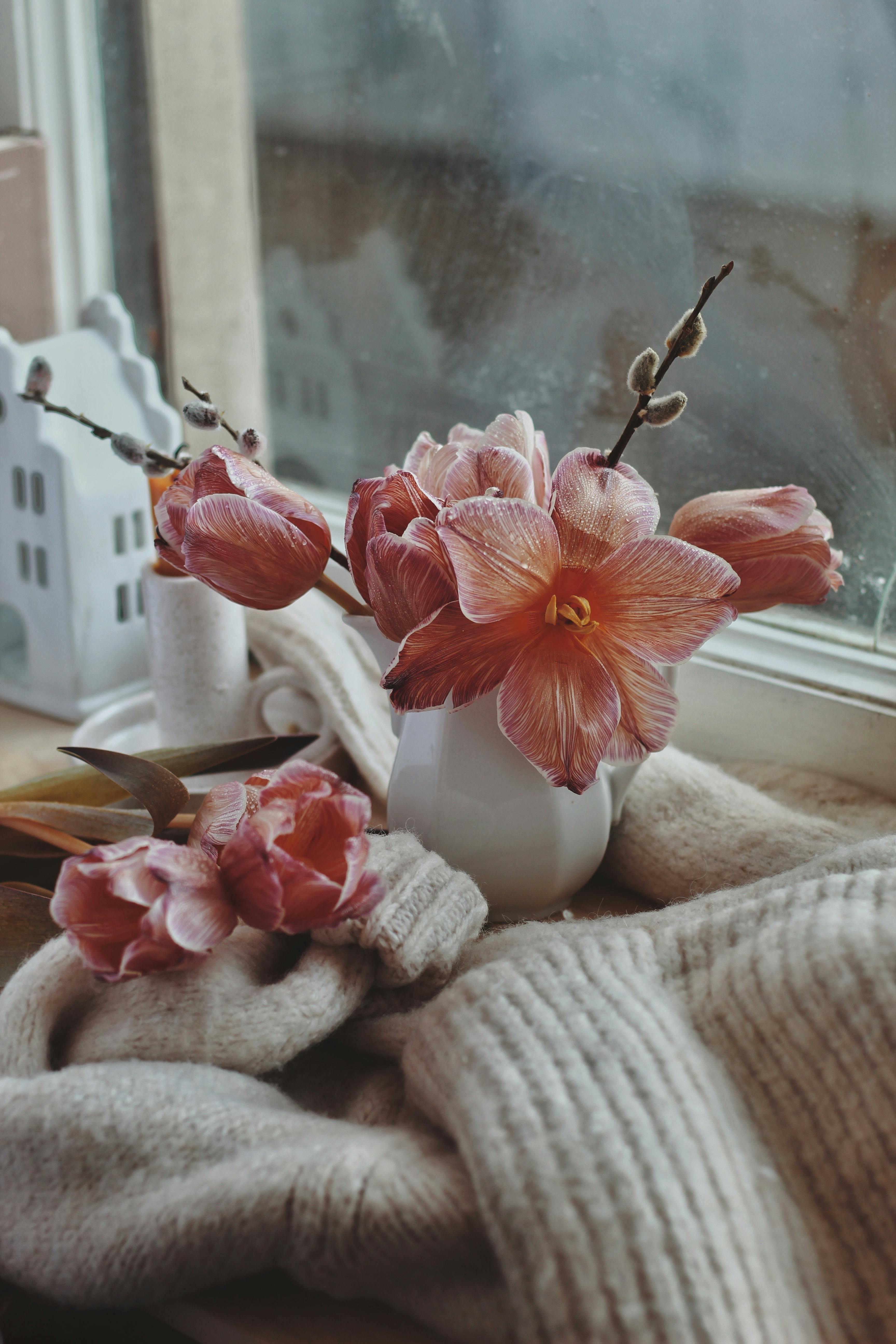 3456x5184 Amaryllis & HD Image