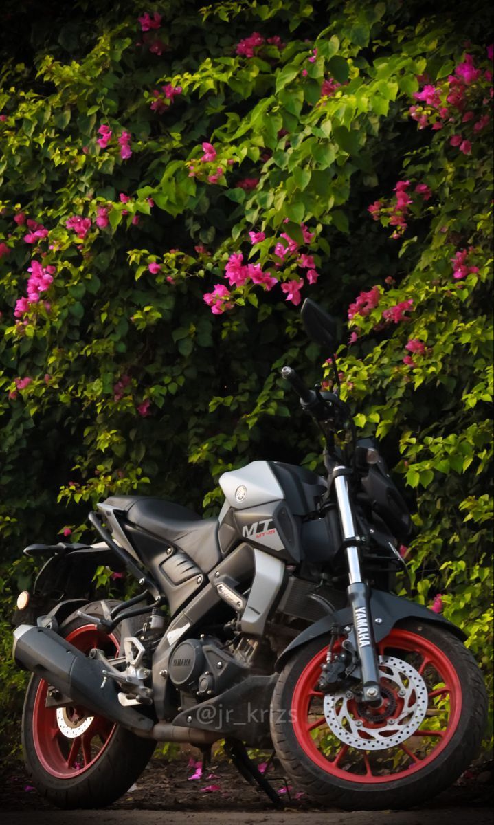 719x1200 MT 15 wallpaper