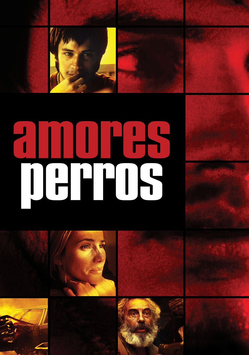 1000x1426 Amores Perros Wallpaper