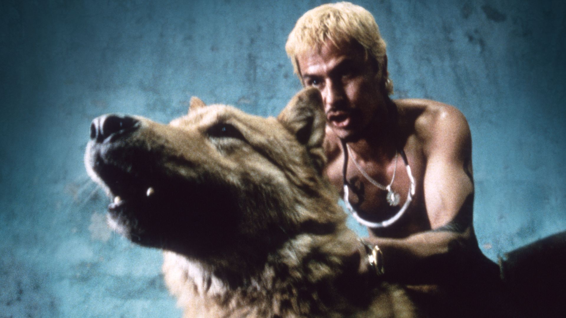 1920x1080 Amores Perros Wallpaper