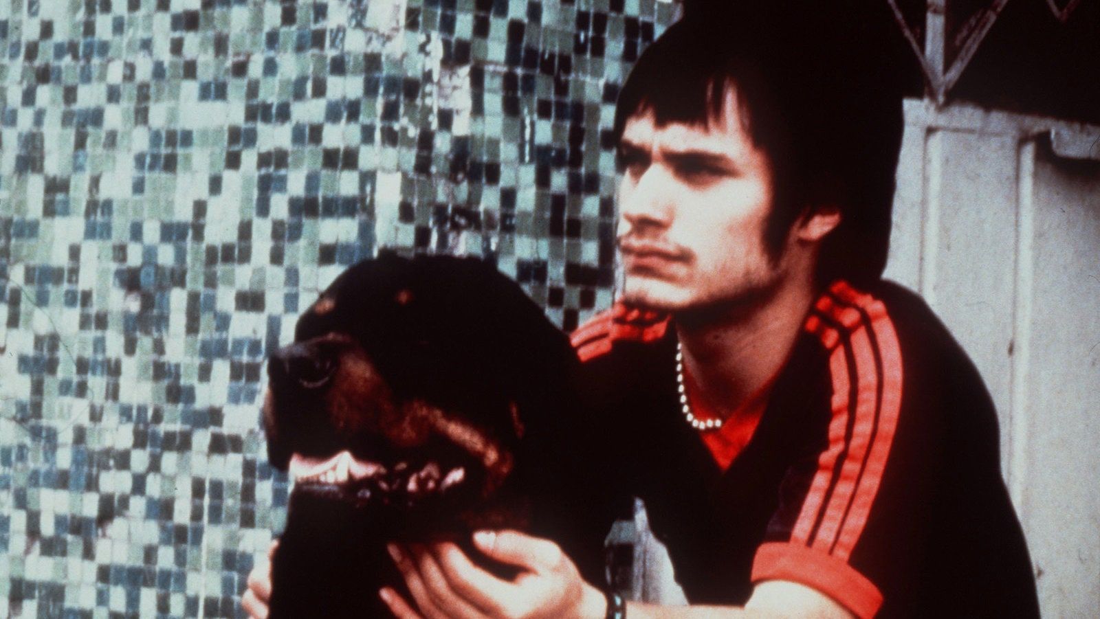 1600x901 Amores Perros: a 20 años de la pieza