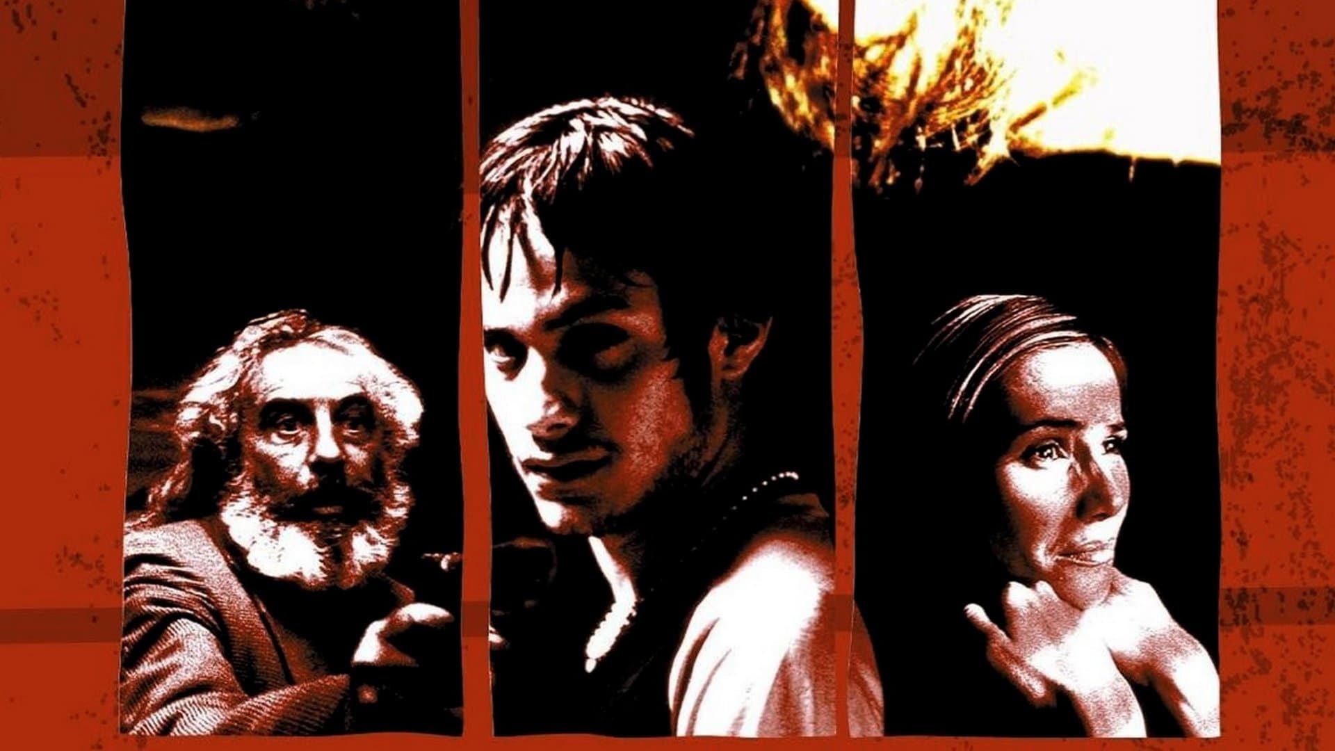 1920x1080 Curiosidades de Amores Perros, una