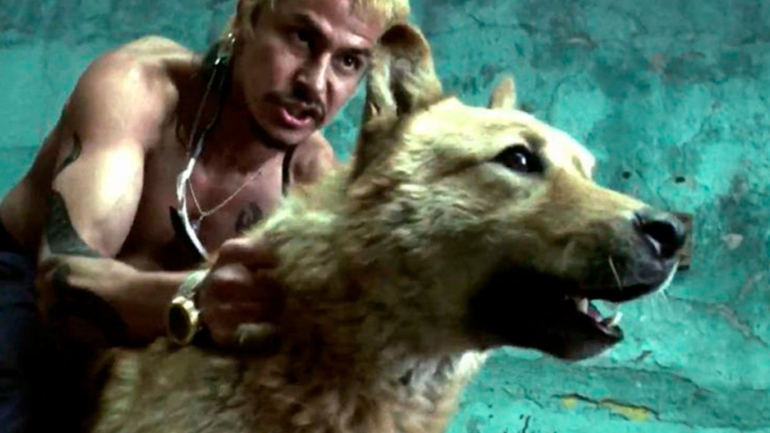 2560x1440 Amores Perros: crean versión animada y